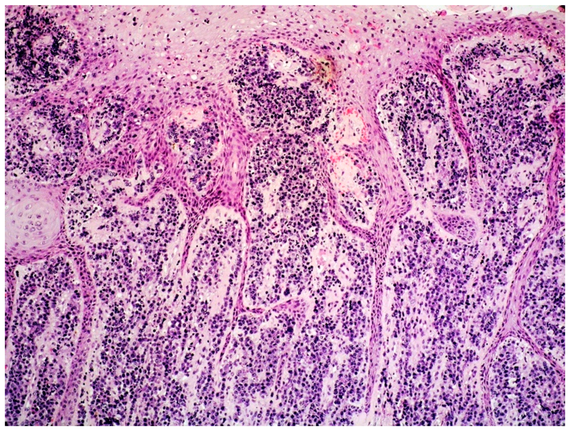 Curroncol 29 00246 g010 550