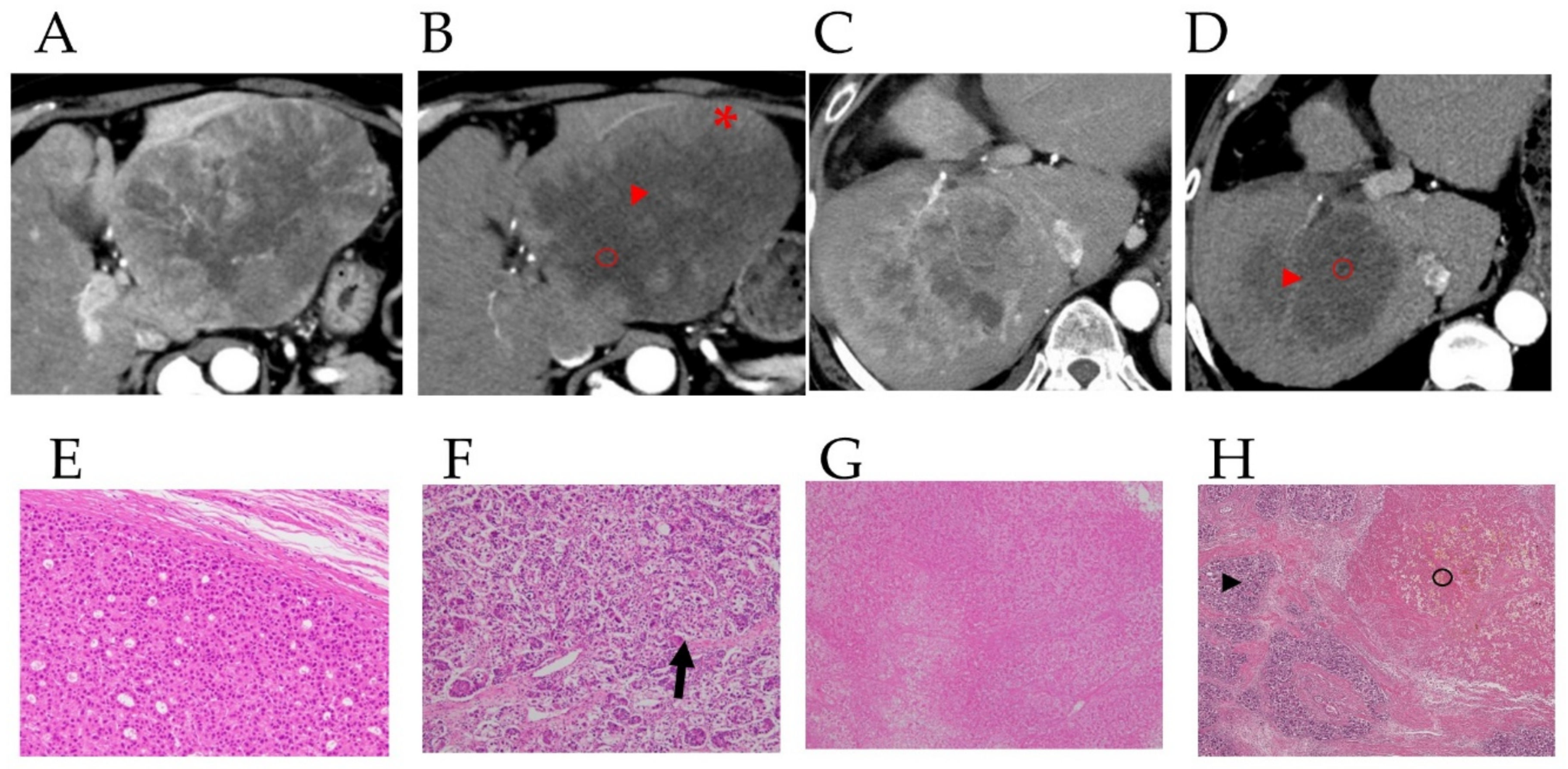 Curroncol 29 00266 g002a