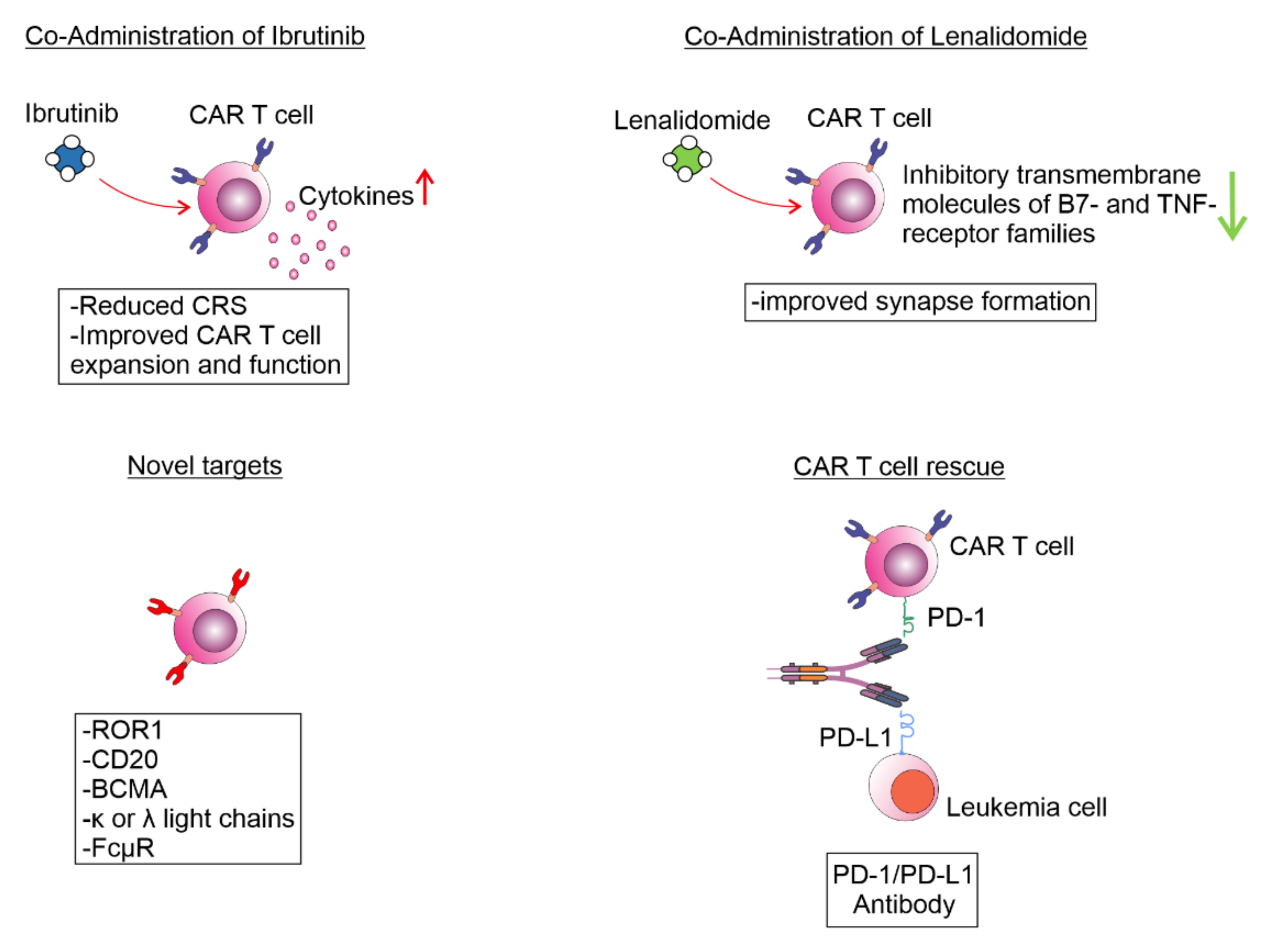Curroncol 29 00293 g003