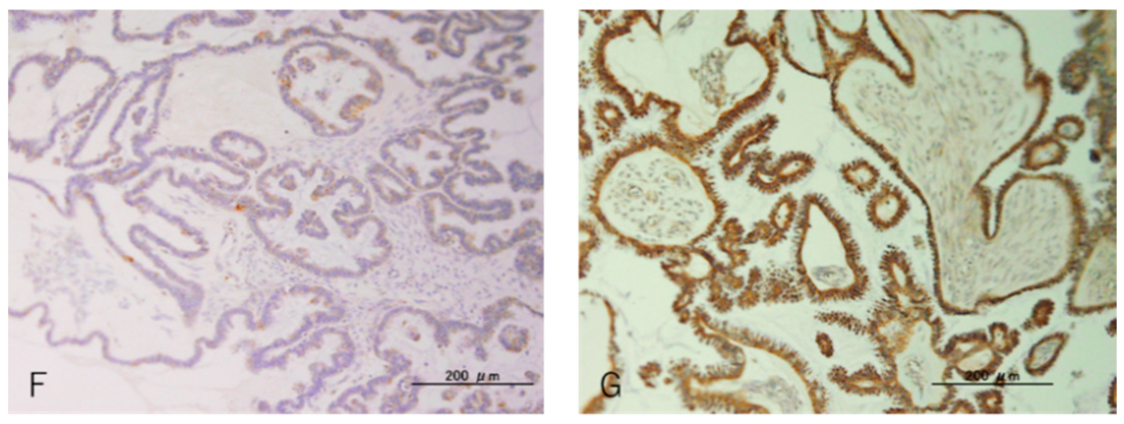 Curroncol 29 00294 g003b Curroncol 29 00294 g003b