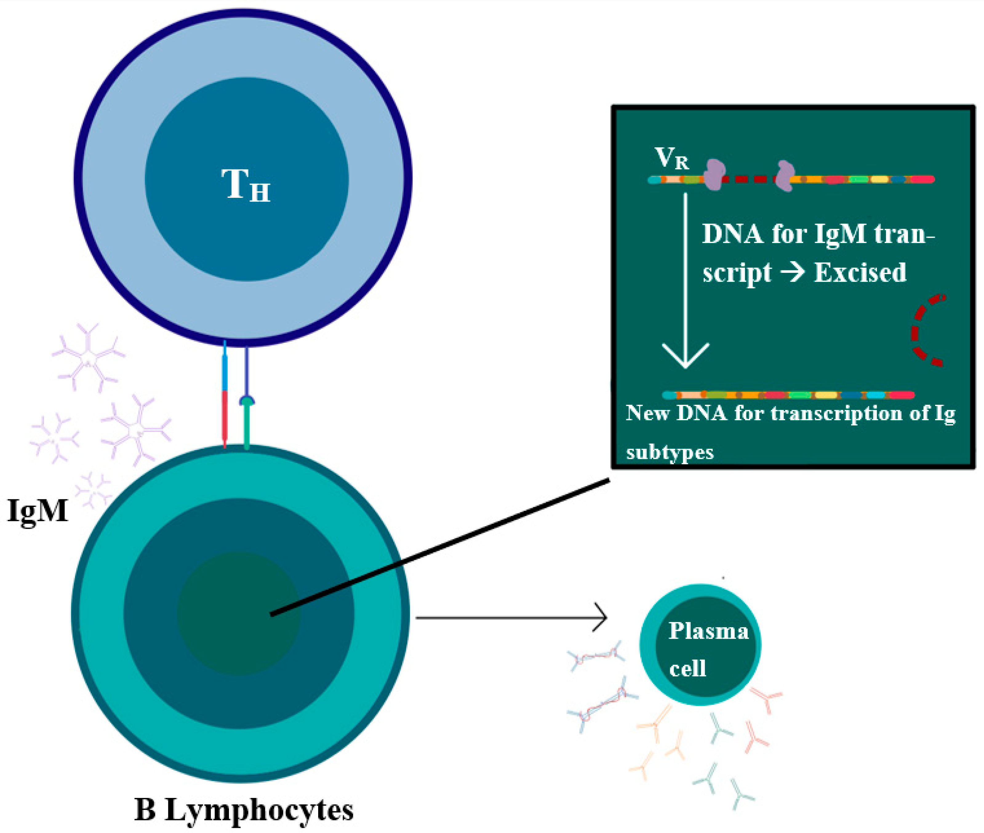 Curroncol 29 00301 g001