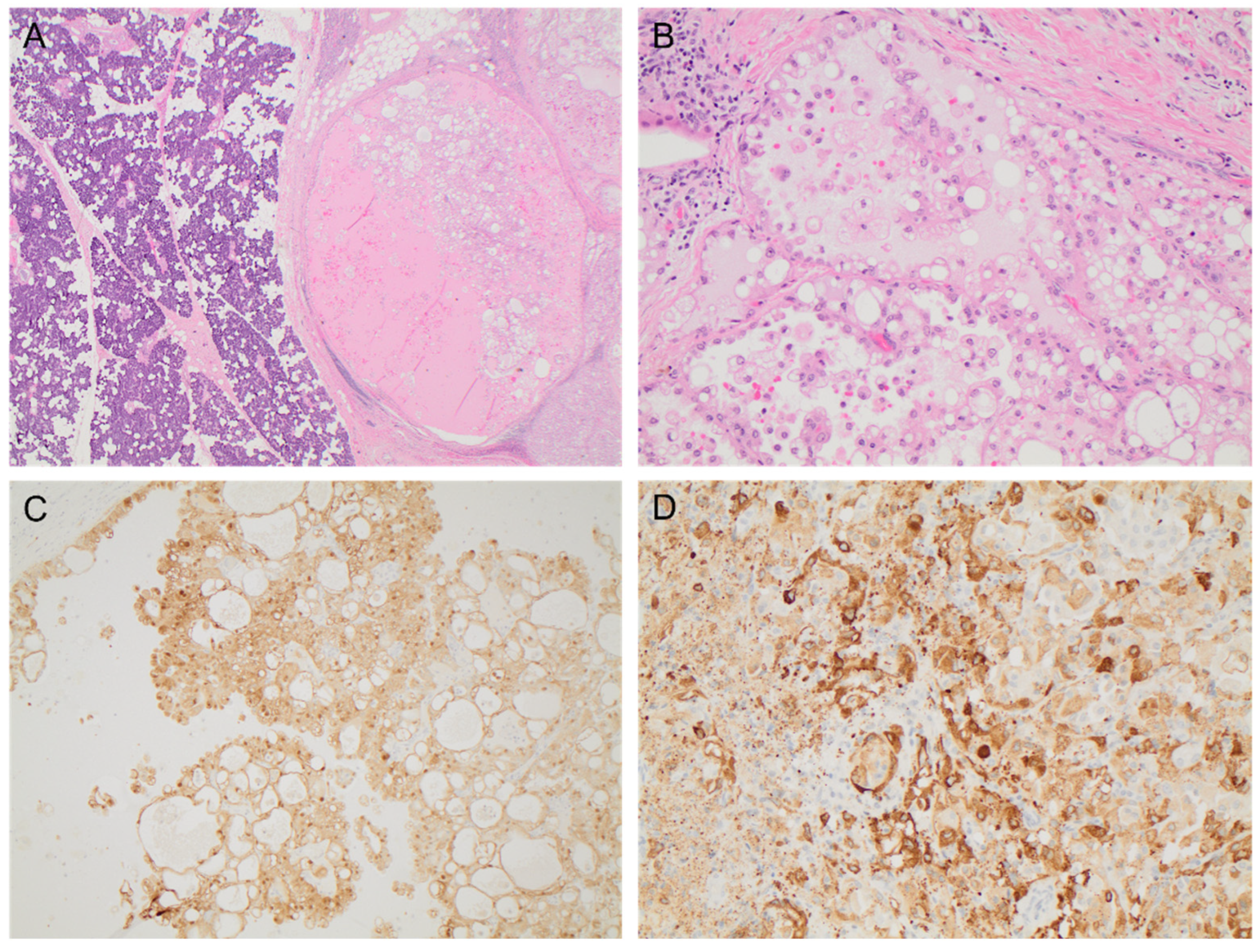 Curroncol 29 00314 g001 550