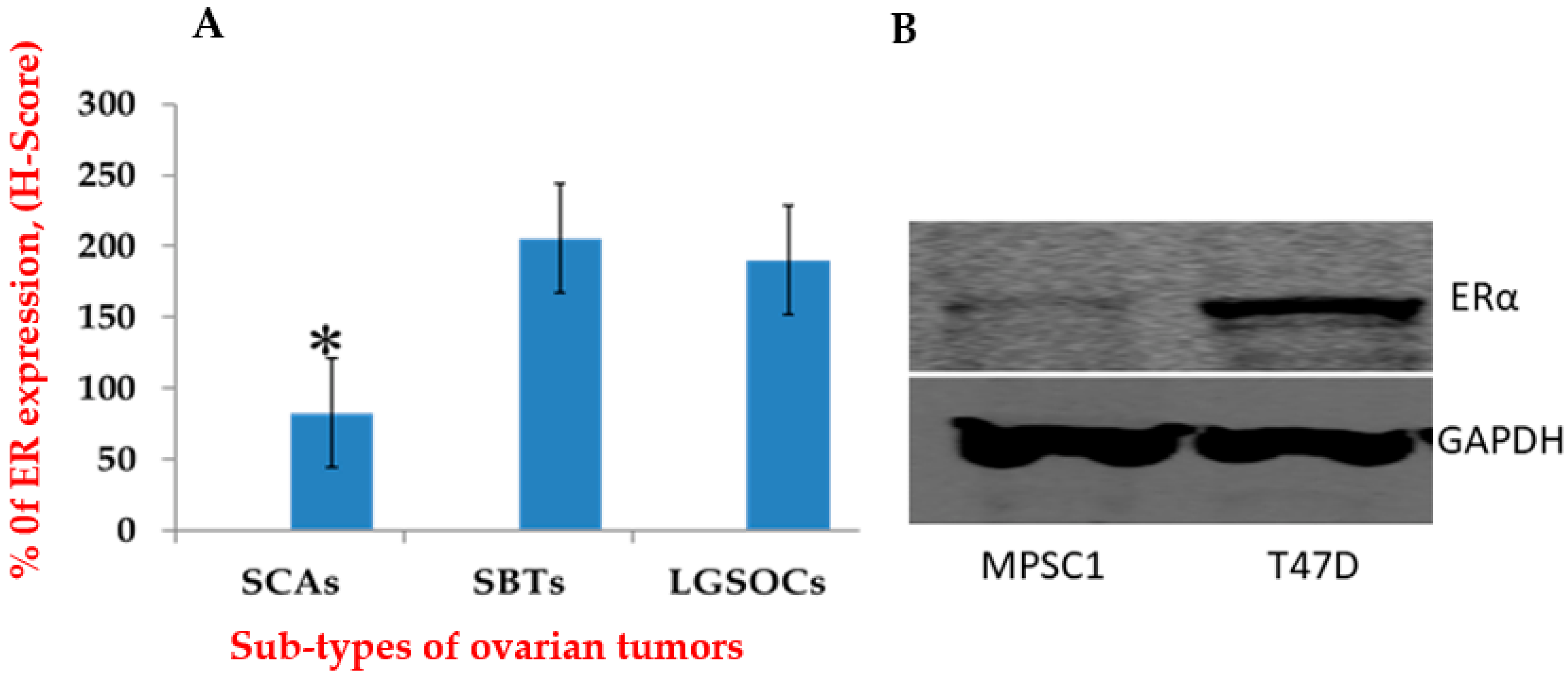 Curroncol 29 00321 g002 Curroncol 29 00321 g002