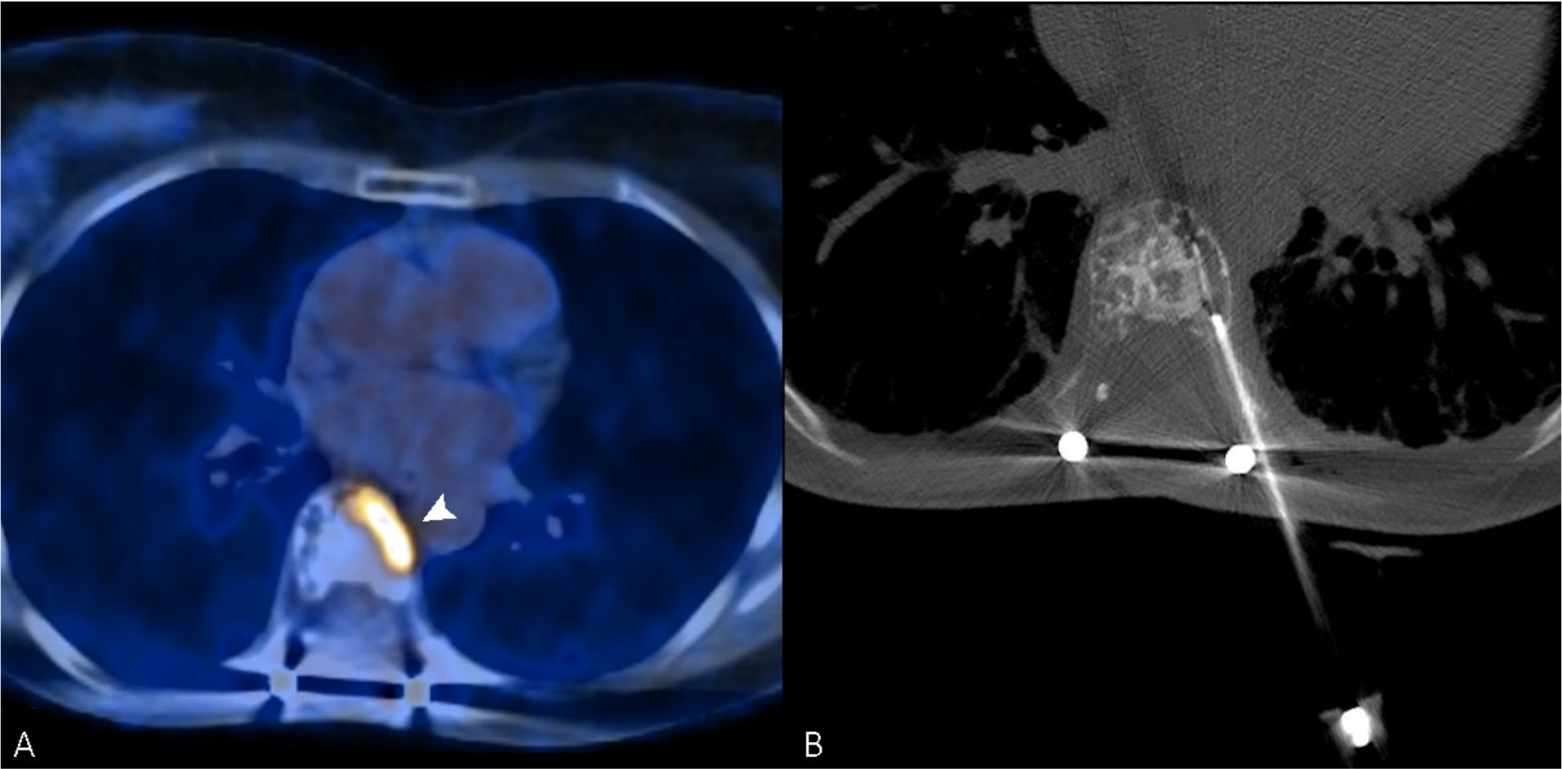 Curroncol 29 00332 g002