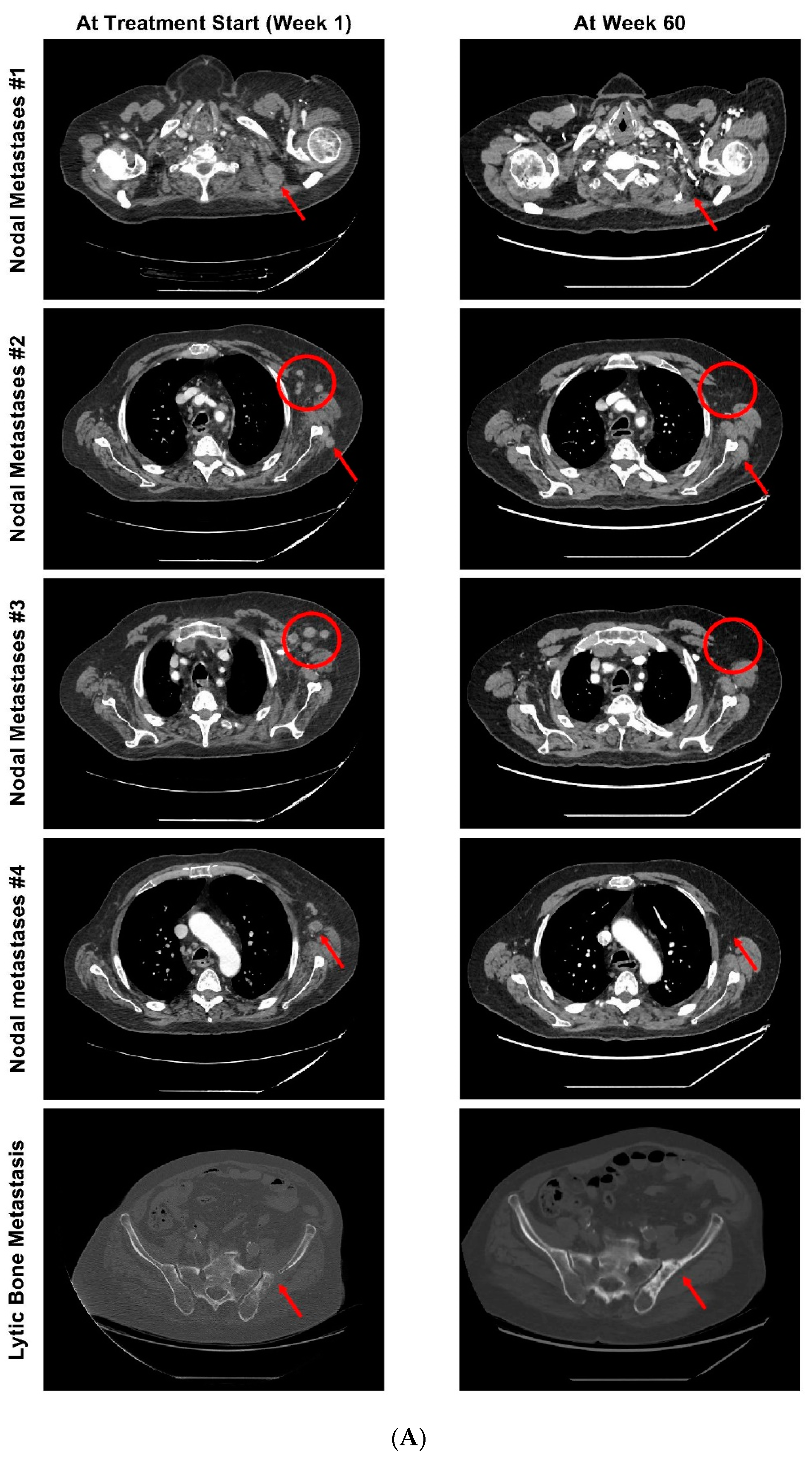 Curroncol 29 00333 g002a
