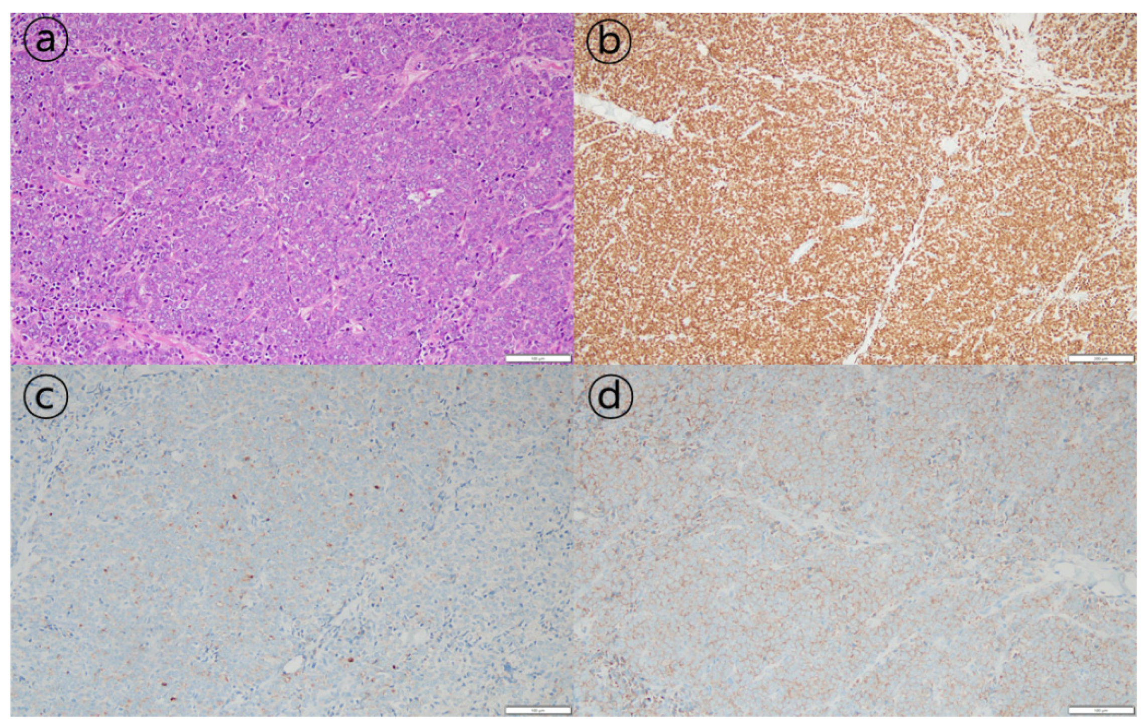 Curroncol 29 00351 g002 550