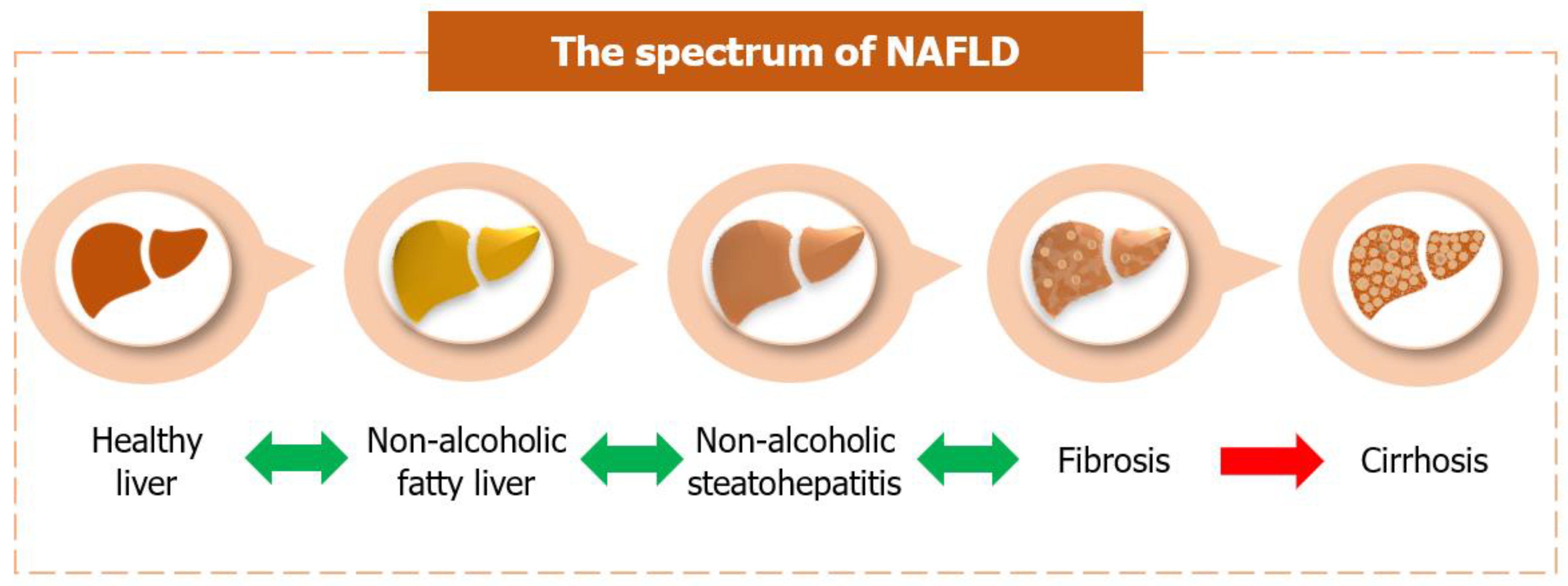 Curroncol 29 00356 g002