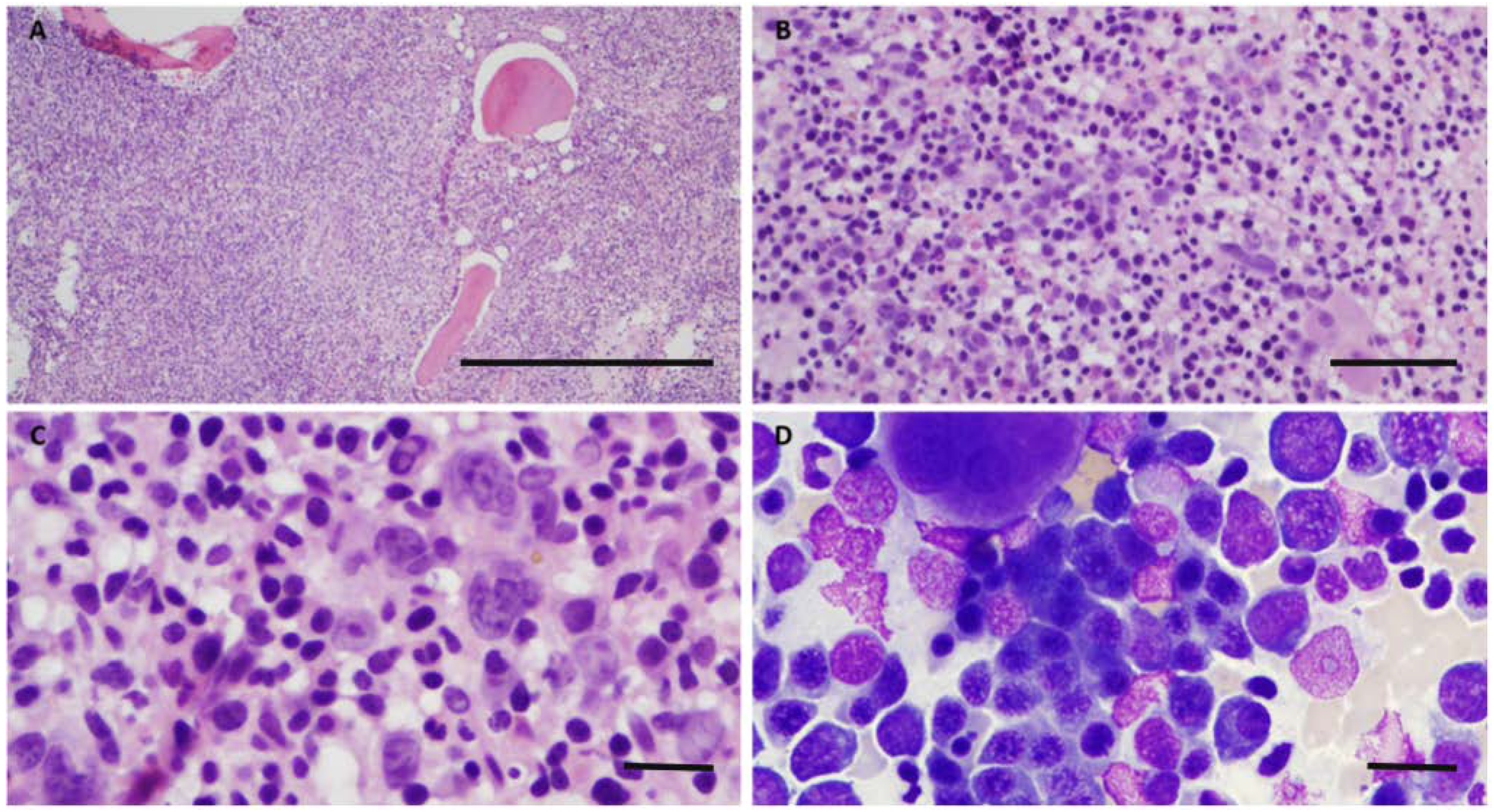 Curroncol 29 00363 g001 Curroncol 29 00363 g001