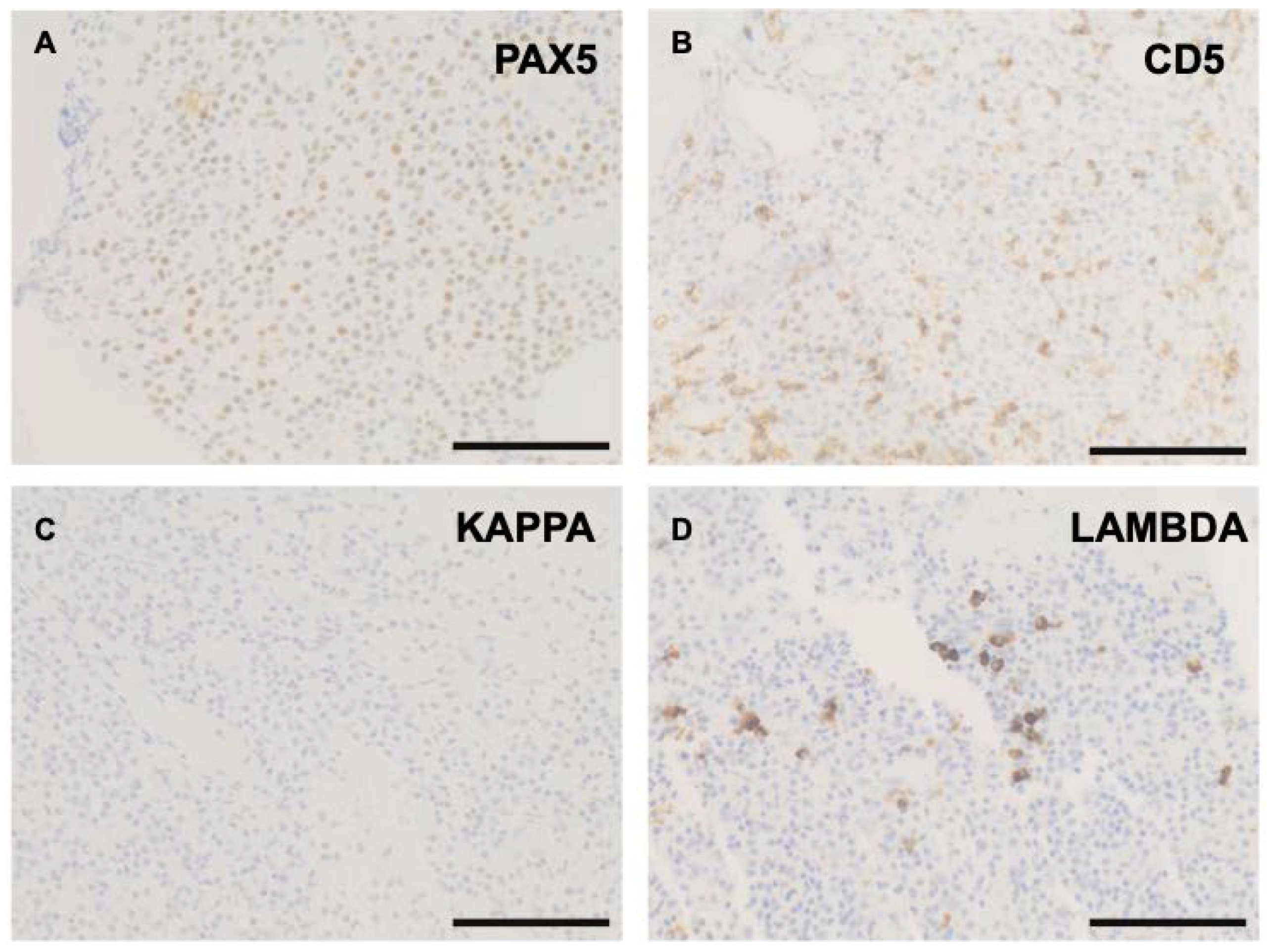 Curroncol 29 00363 g002 Curroncol 29 00363 g002