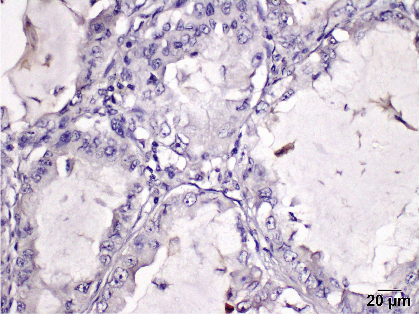 Curroncol 29 00379 g005