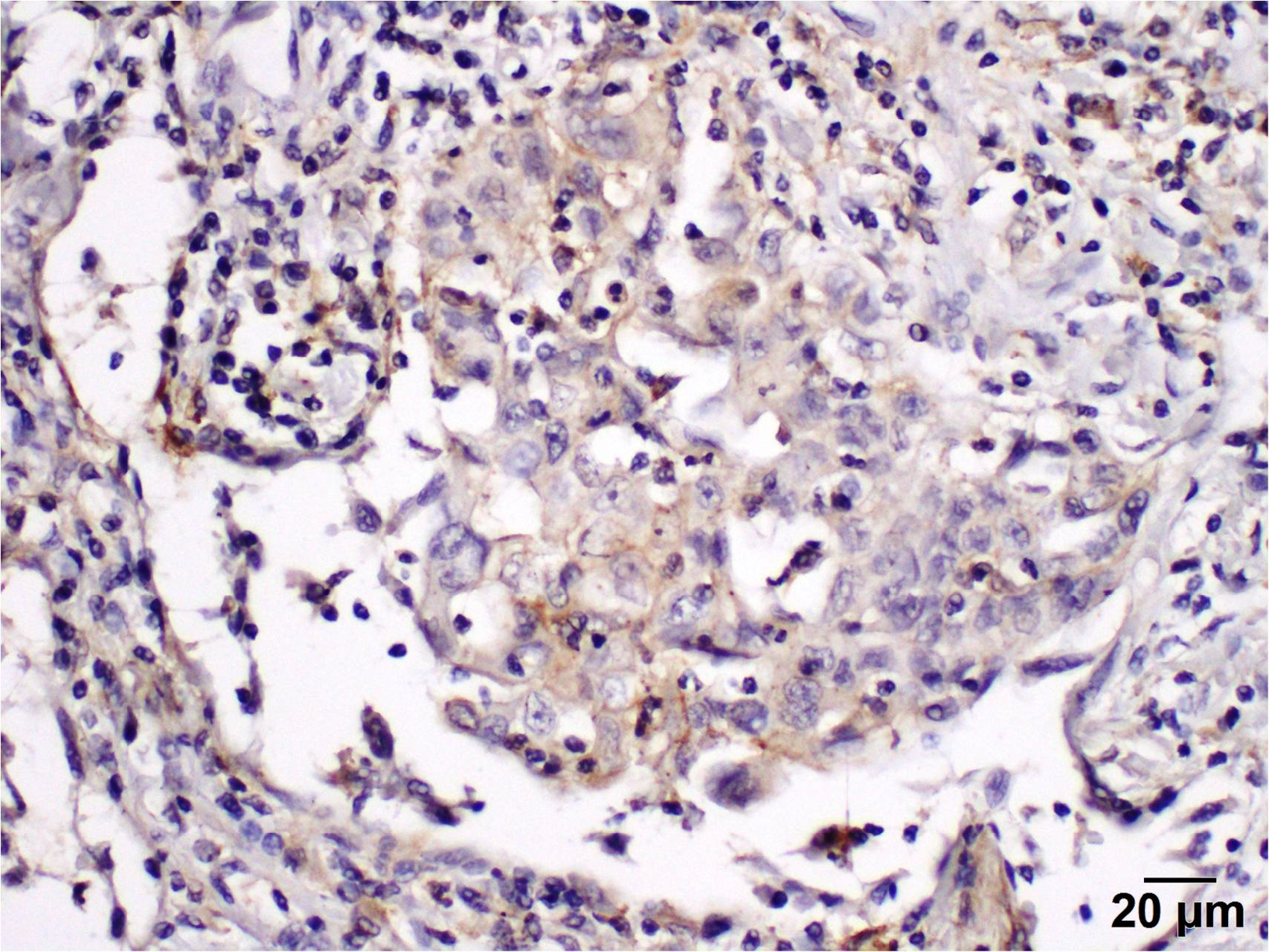 Curroncol 29 00379 g006