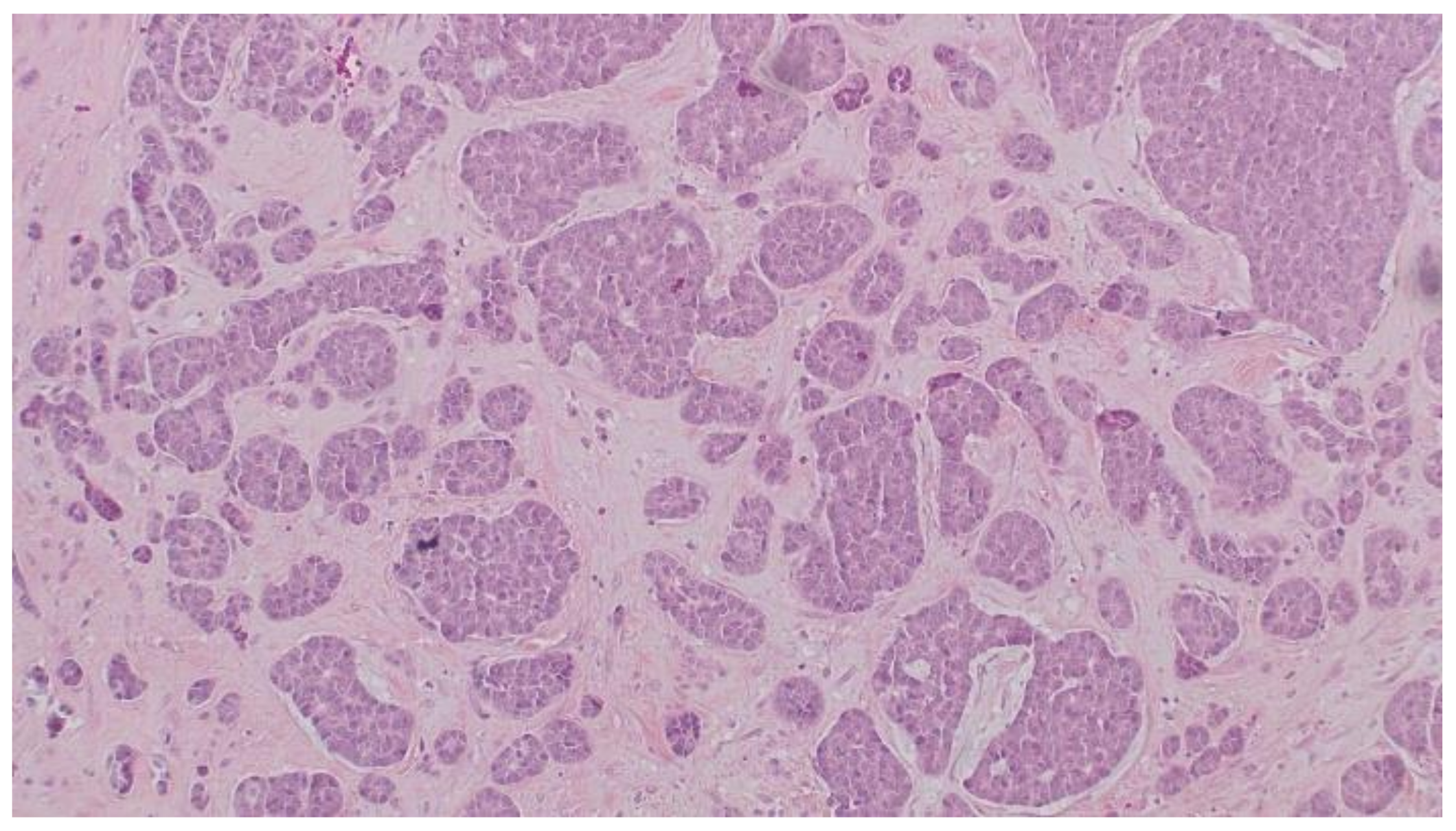 Curroncol 29 00380 g001 Curroncol 29 00380 g001