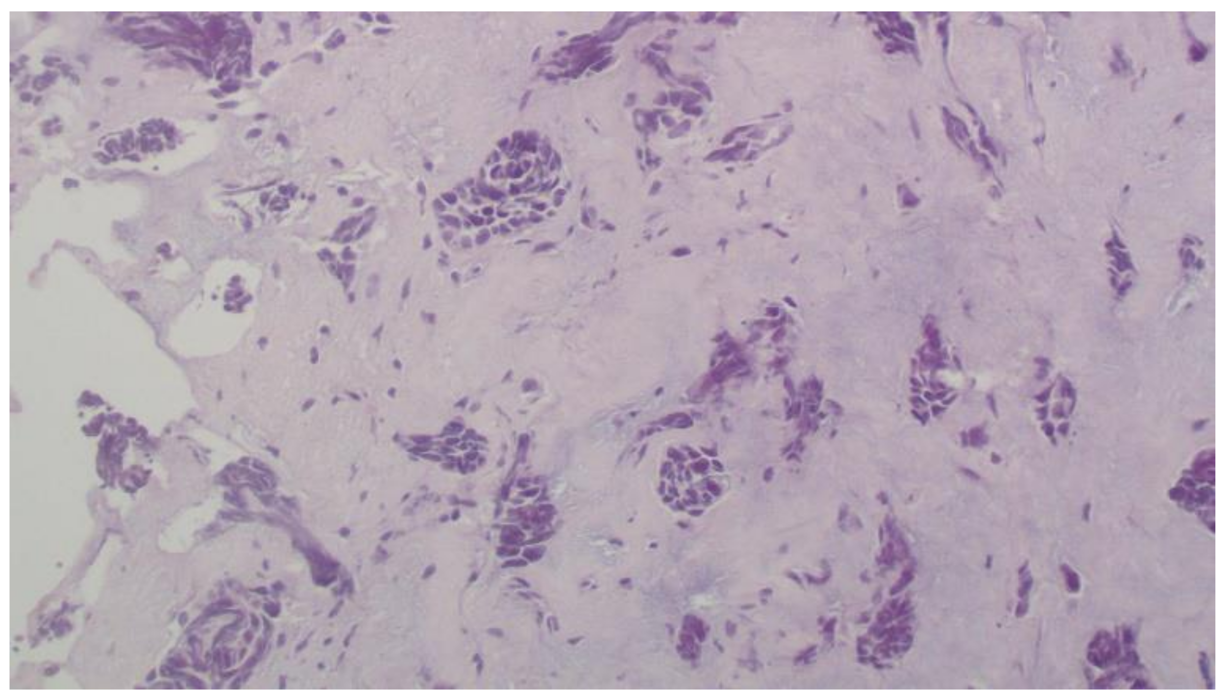 Curroncol 29 00380 g003 Curroncol 29 00380 g003