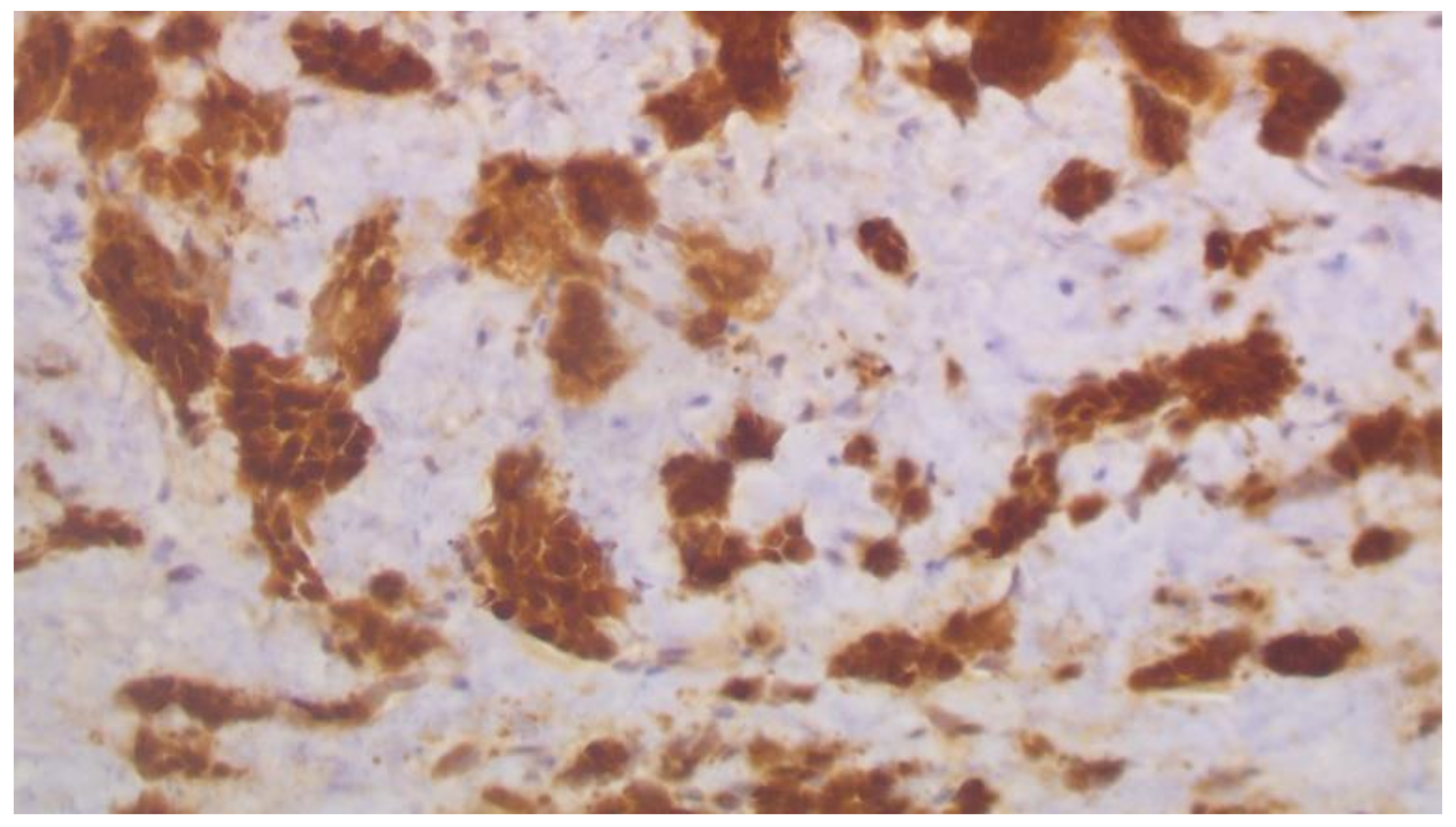 Curroncol 29 00380 g004 Curroncol 29 00380 g004