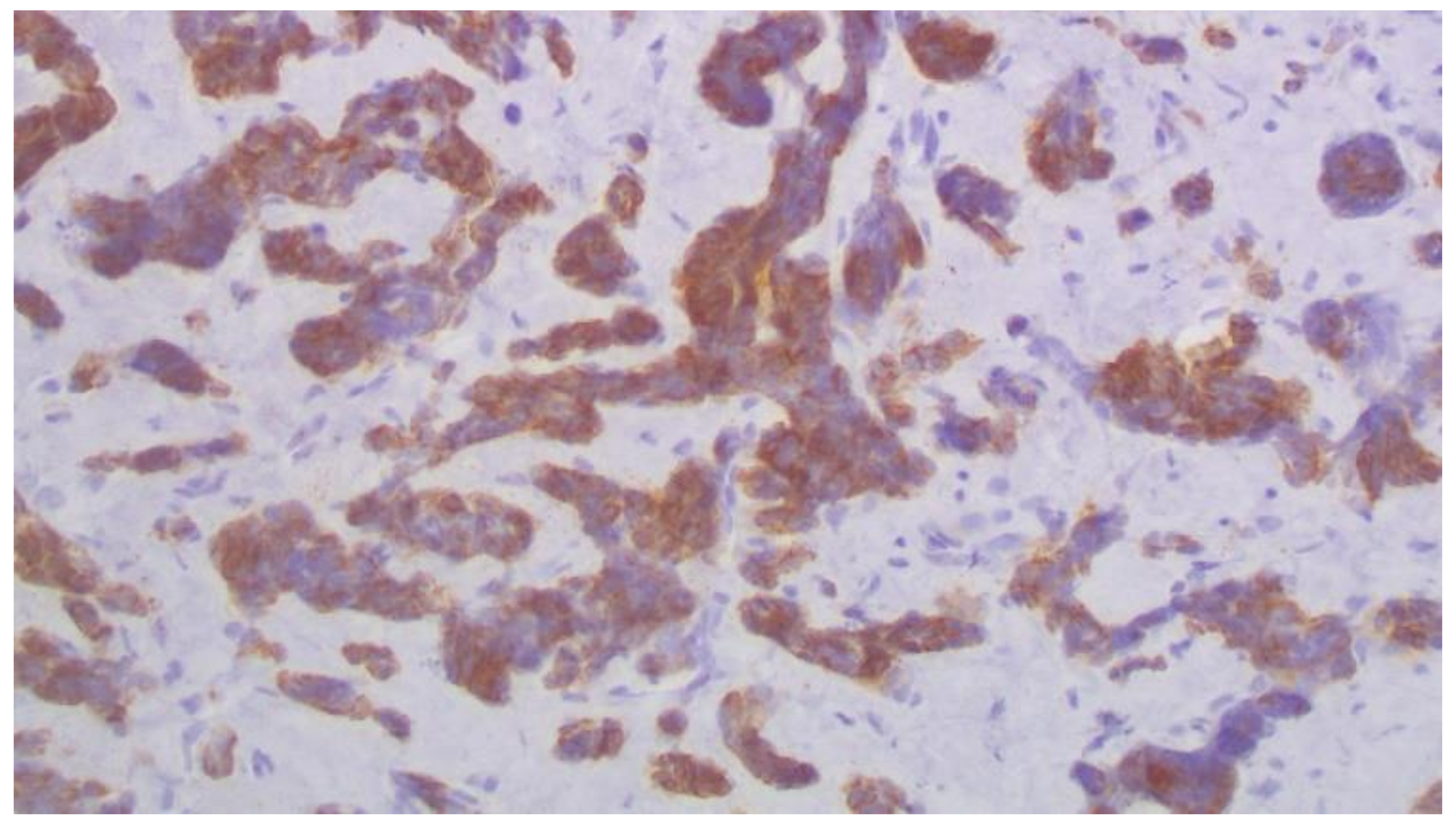 Curroncol 29 00380 g005 Curroncol 29 00380 g005