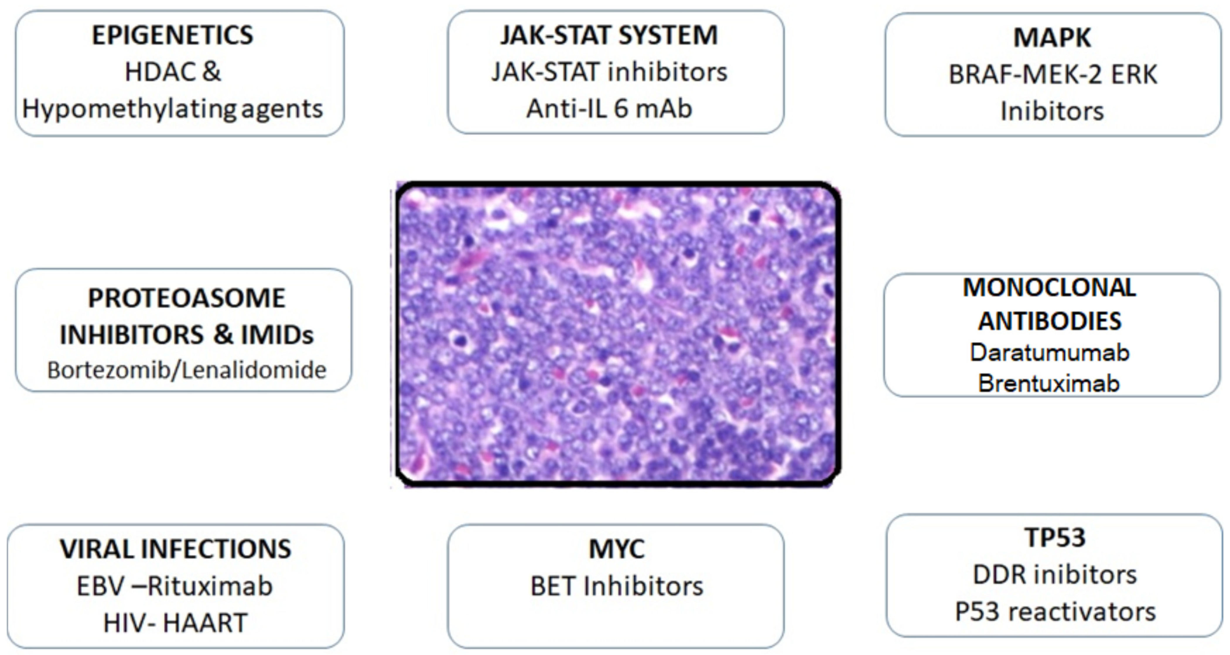 Bortezomib, Lenalidomide and Dexamethasone Combination