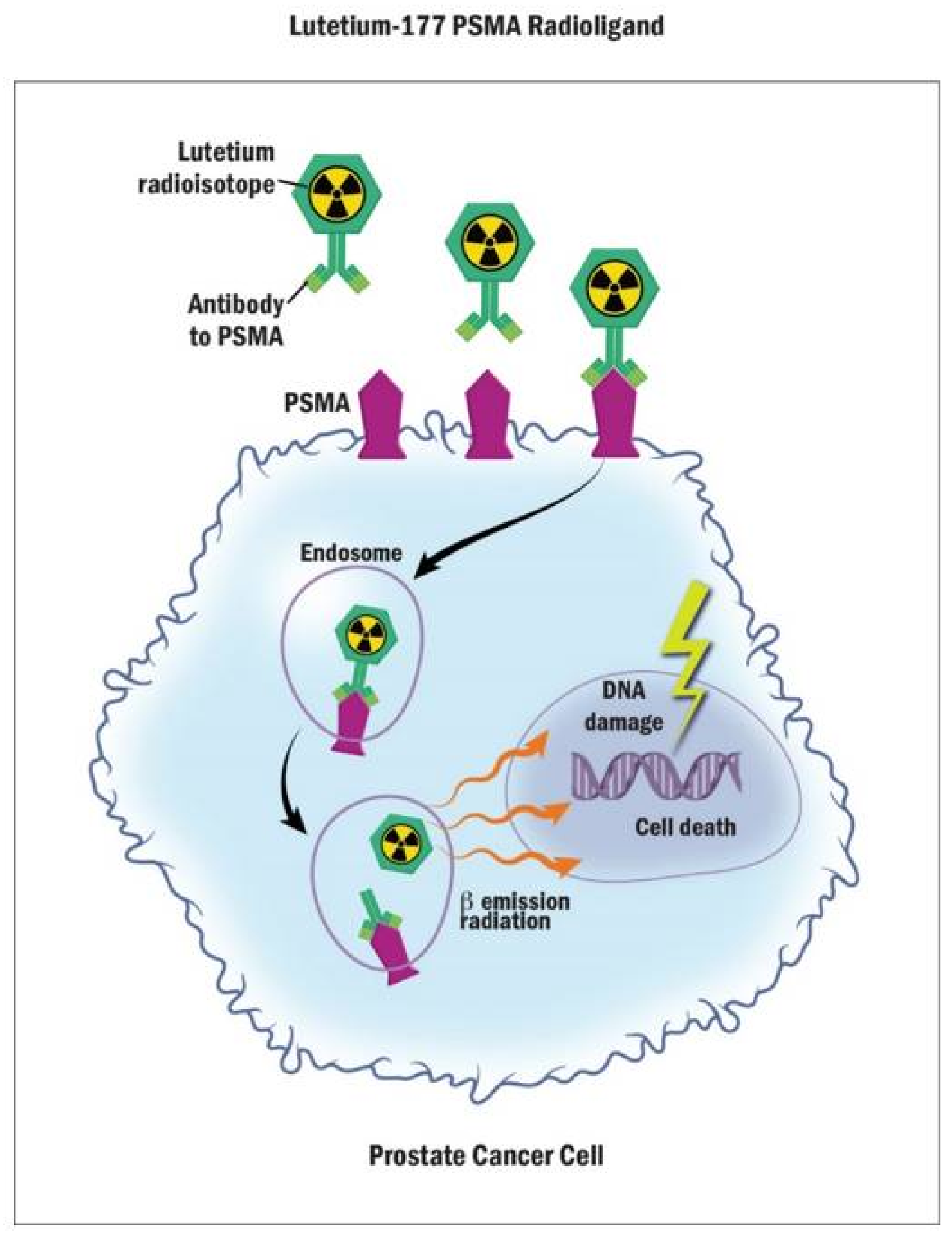 Curroncol 29 00400 g002 Curroncol 29 00400 g002