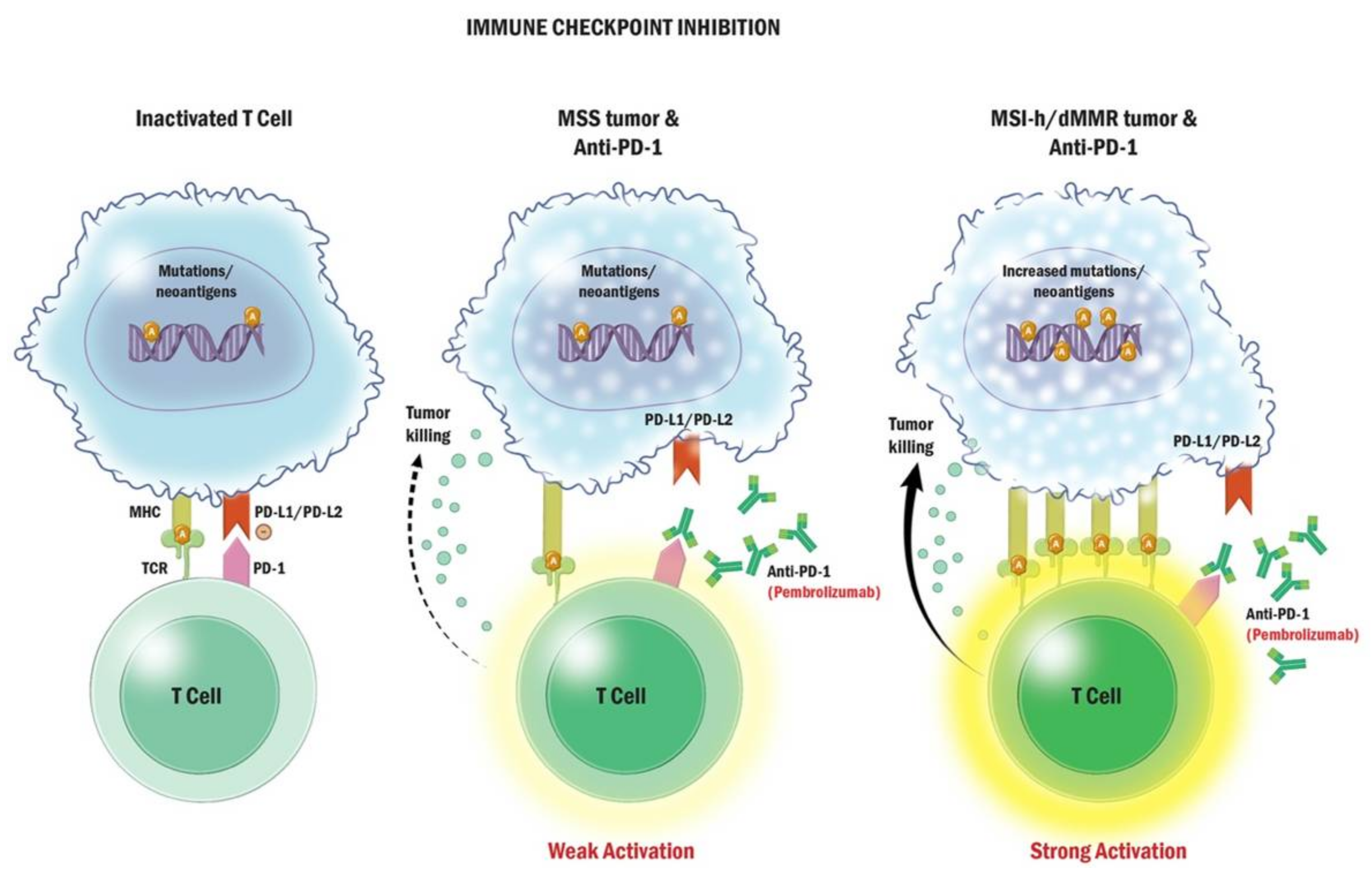 Curroncol 29 00400 g004 Curroncol 29 00400 g004