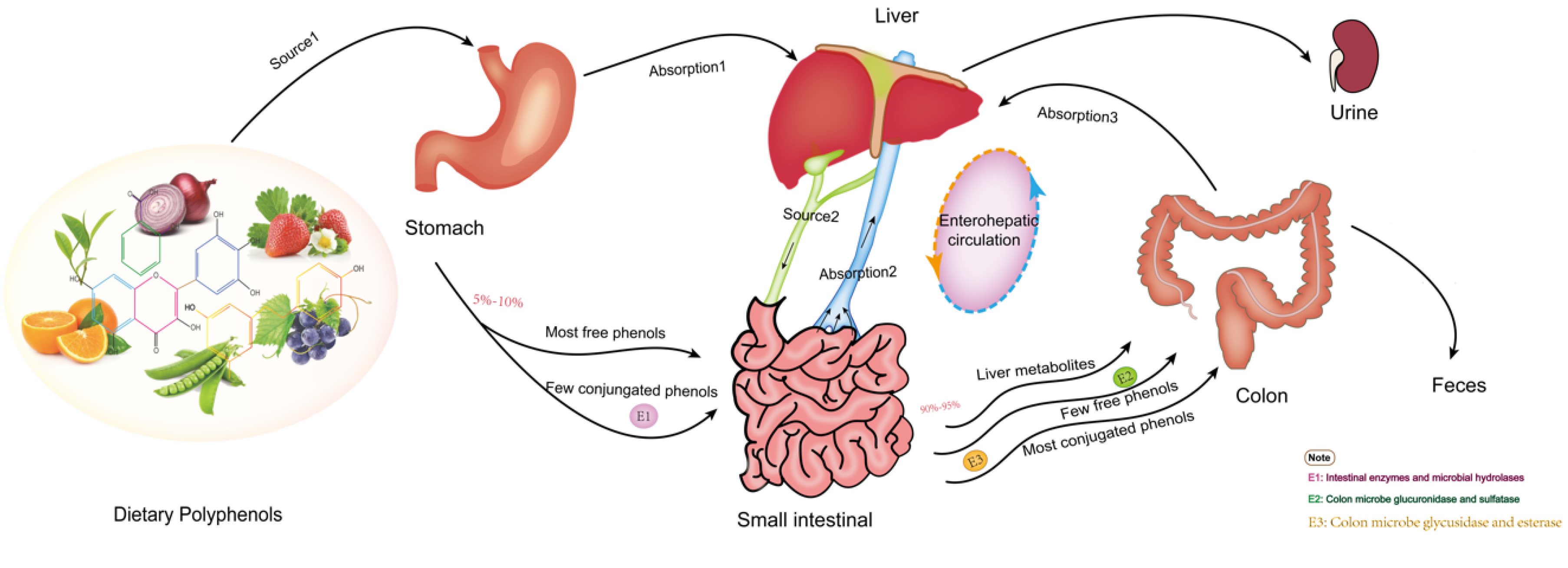 Curroncol 29 00417 g001 Curroncol 29 00417 g001