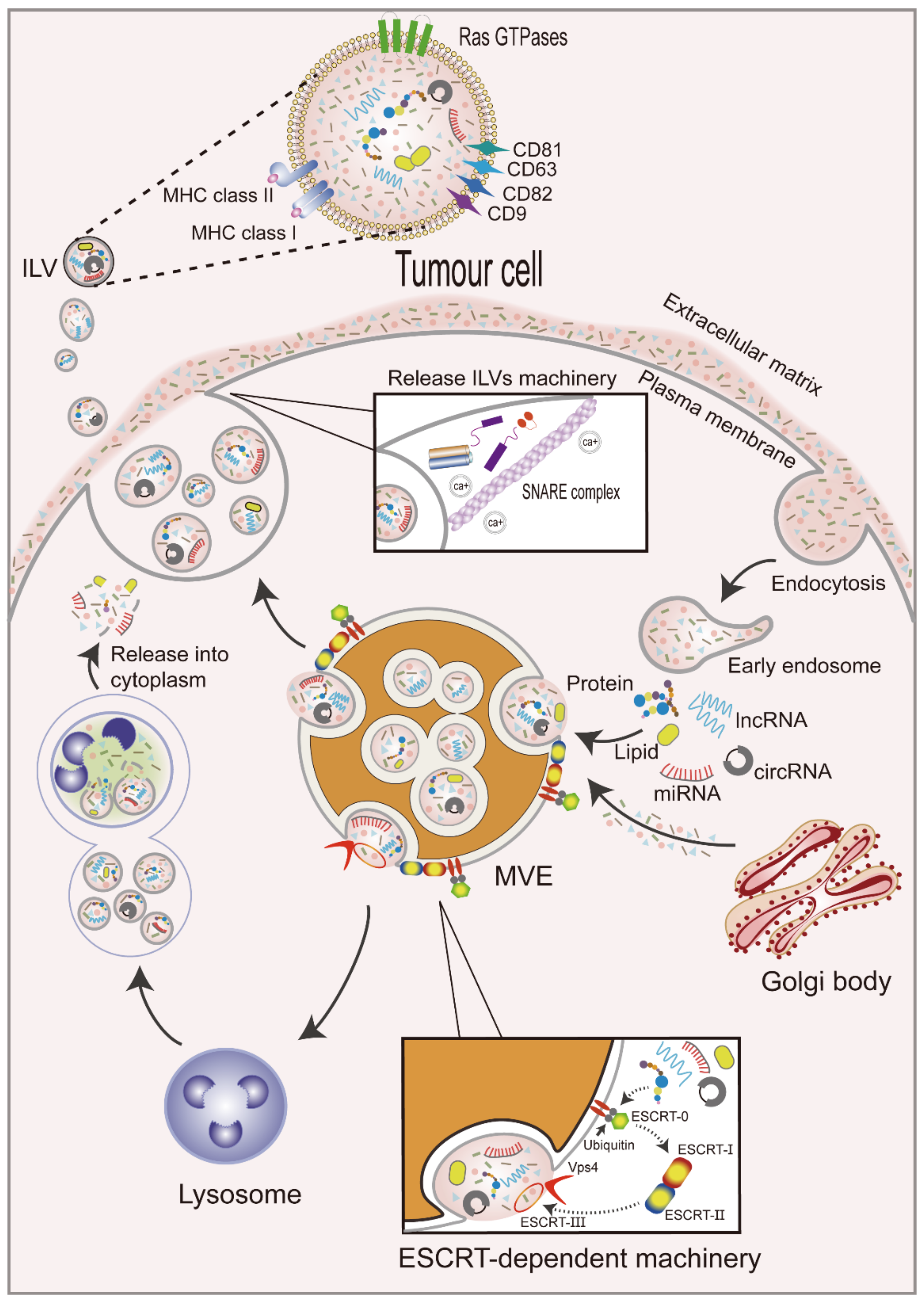Curroncol 29 00427 g001