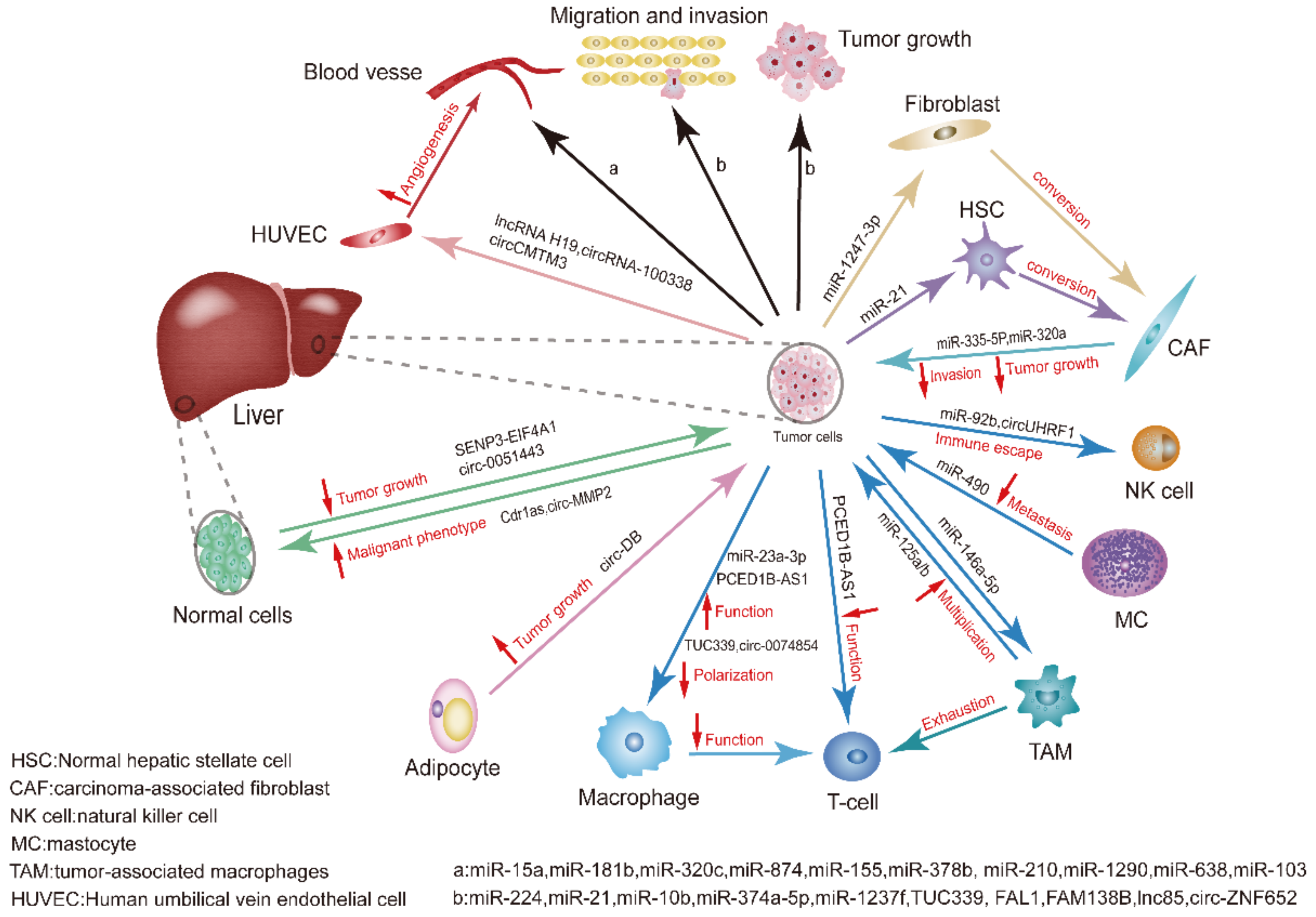 Curroncol 29 00427 g002