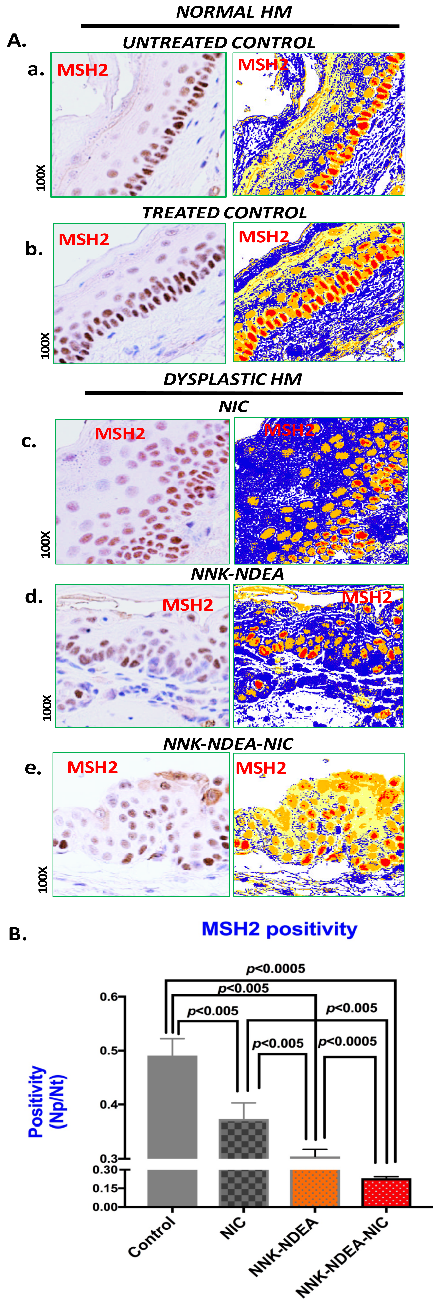 Curroncol 29 00437 g001