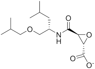 Curroncol 29 00471 i005