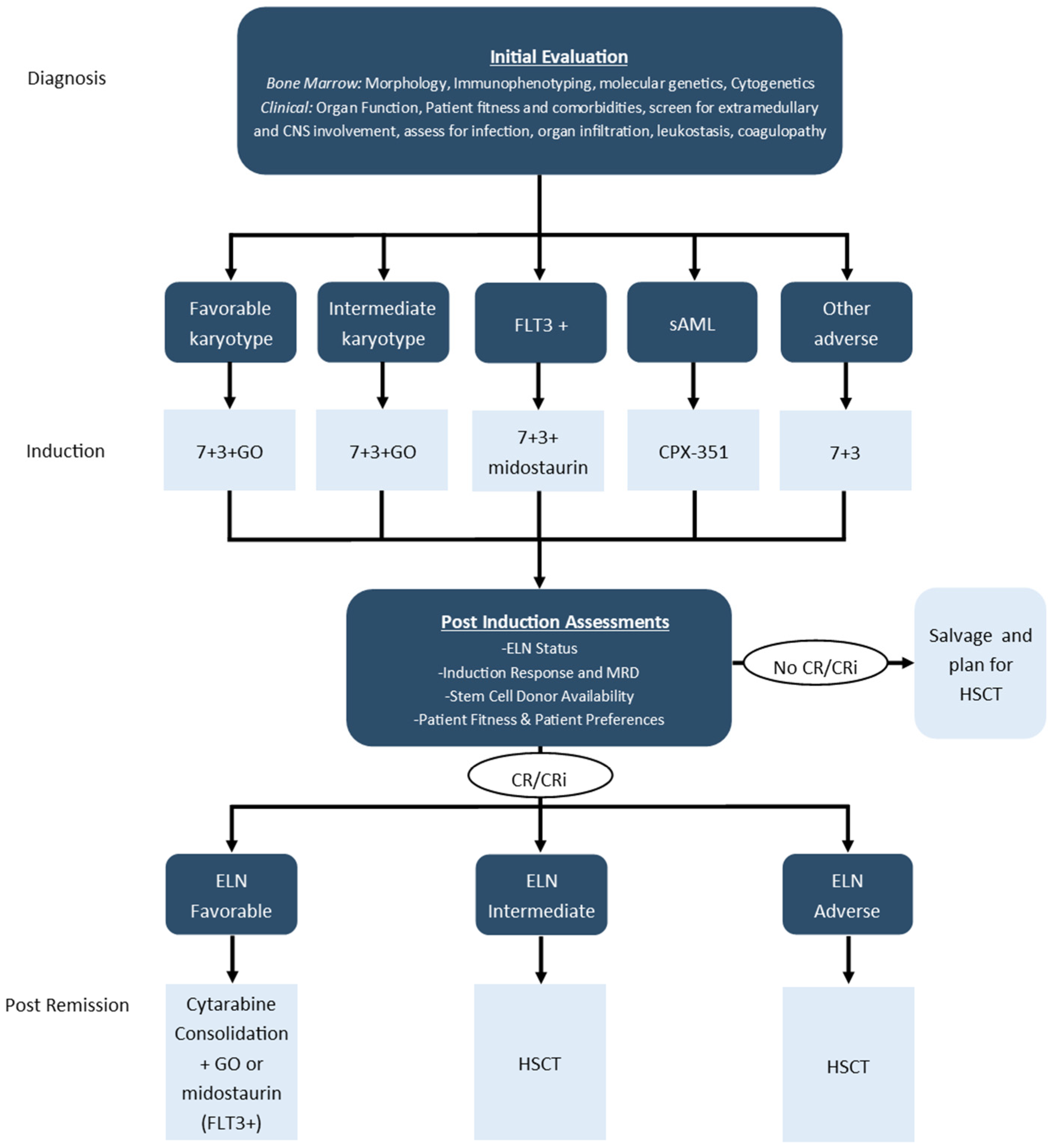 Current Oncology Free FullText Management of Acute Myeloid Leukemia A Review for General