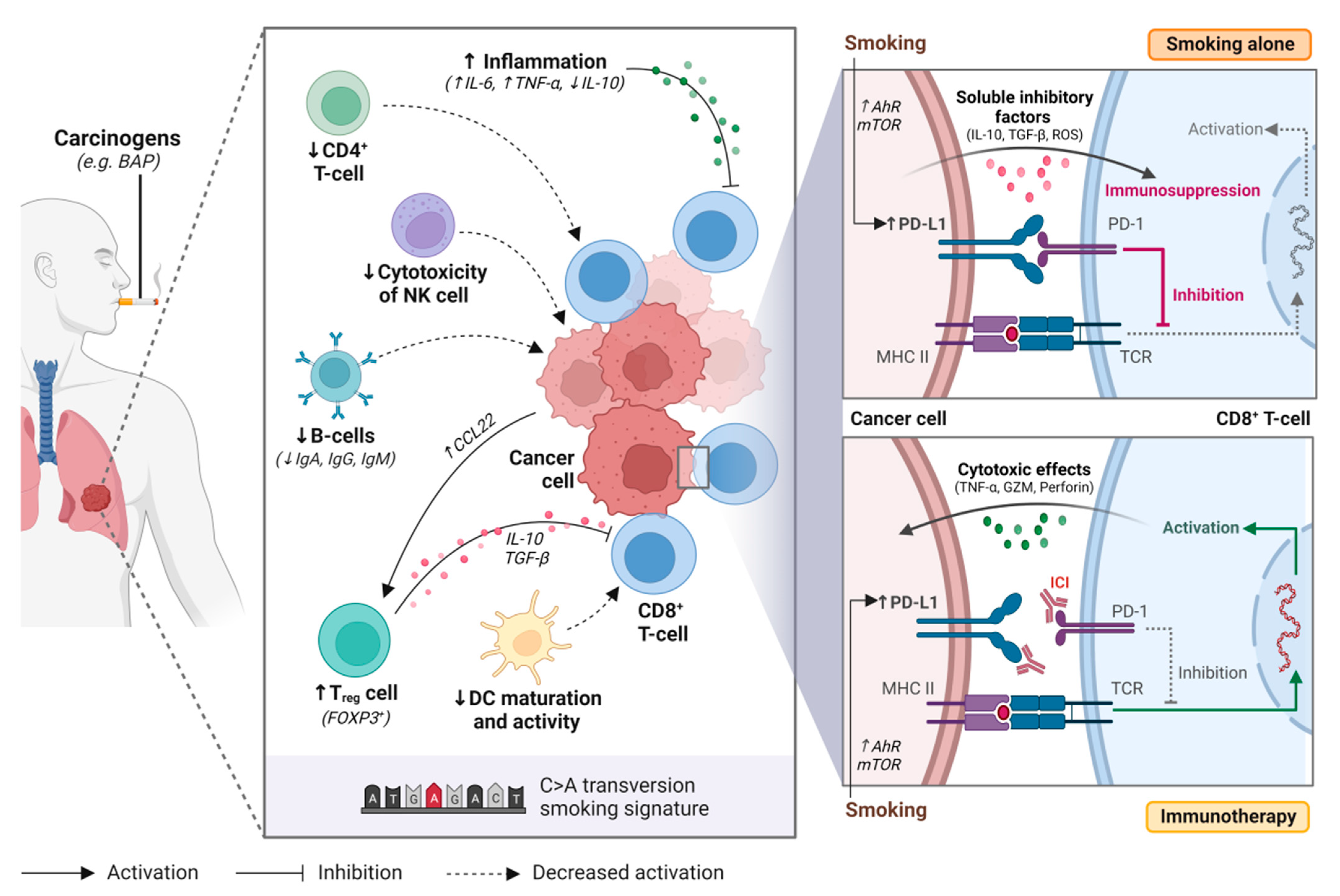 Curroncol 29 00492 g001