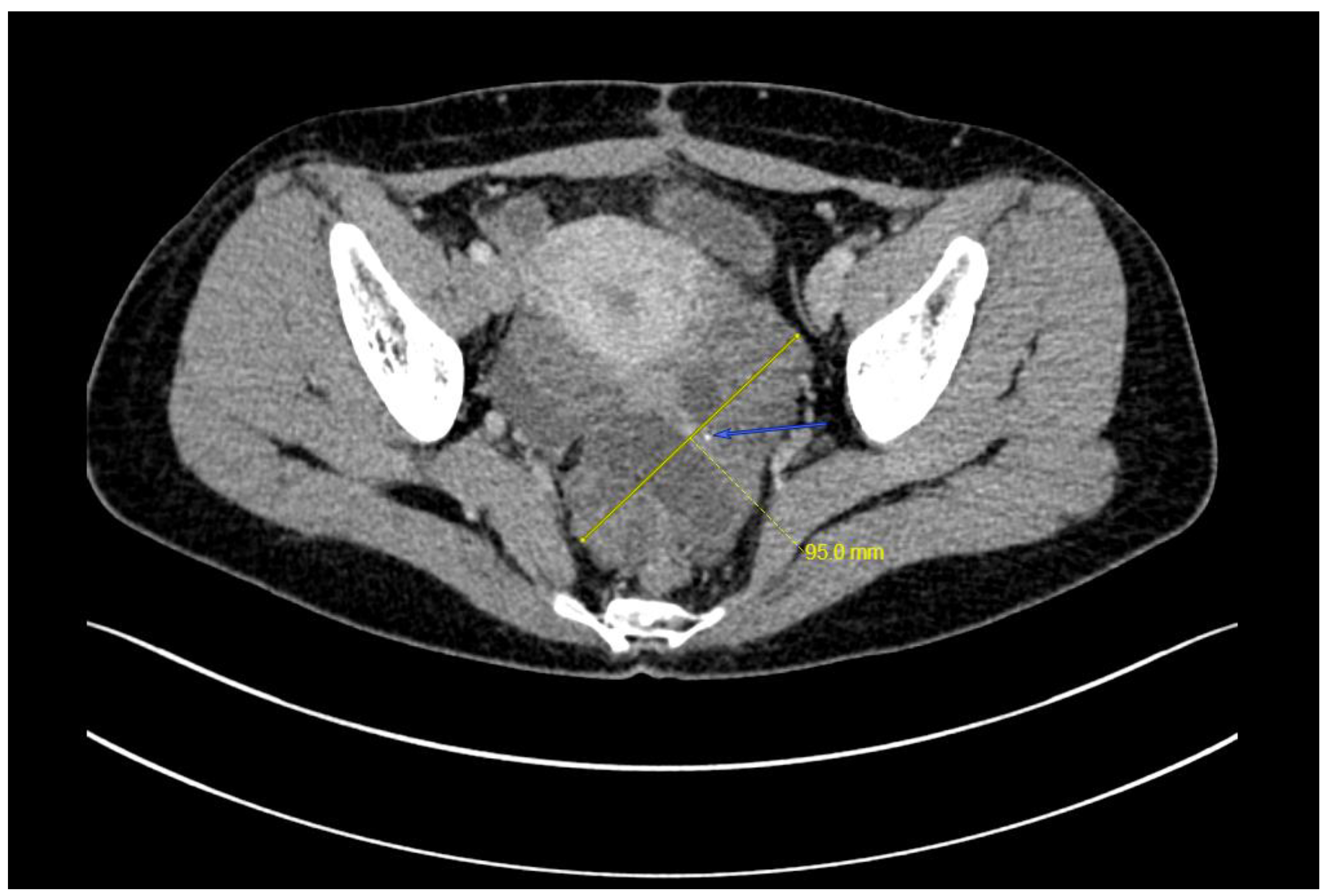Curroncol 29 00501 g003