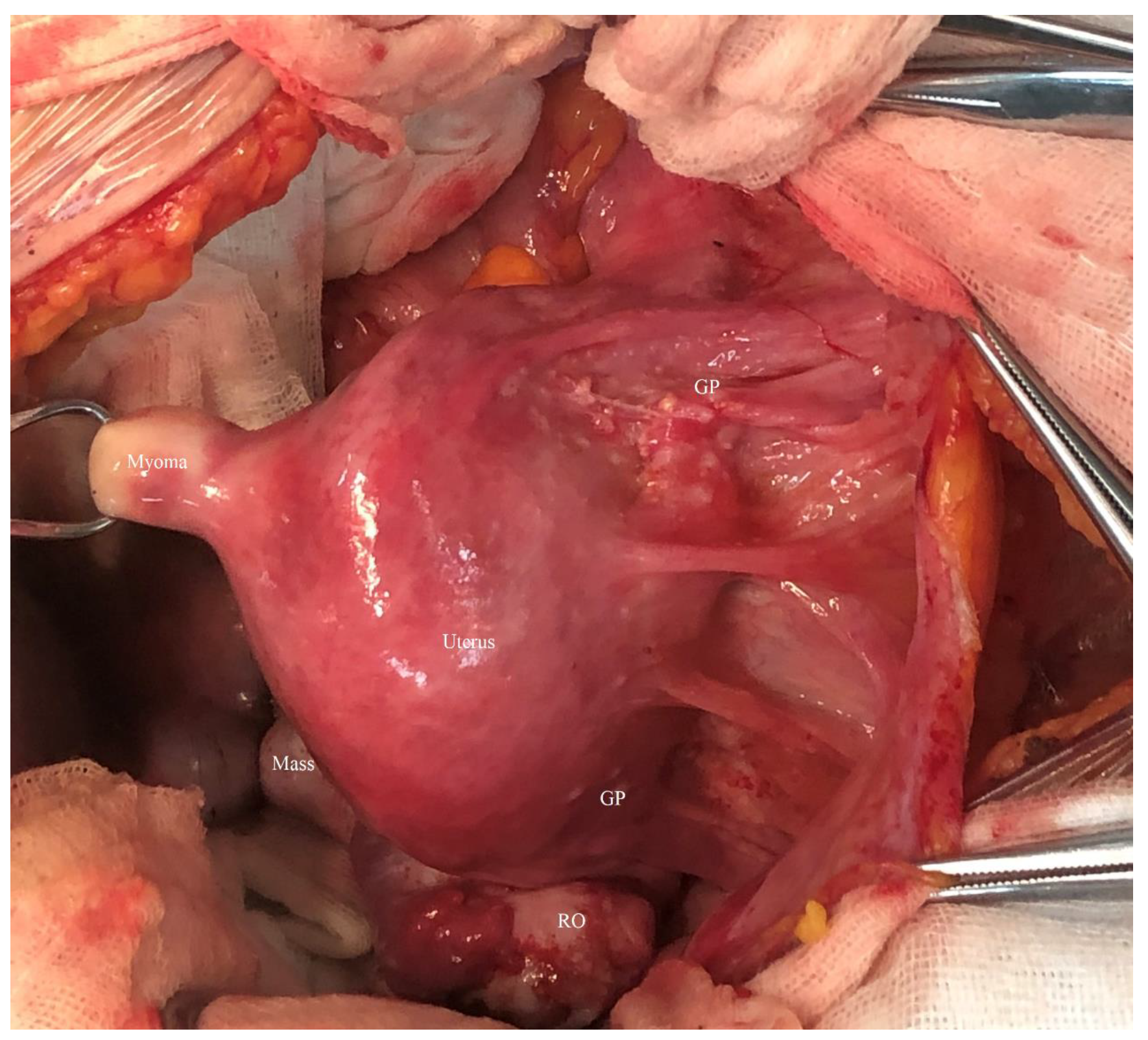 Curroncol 29 00501 g004