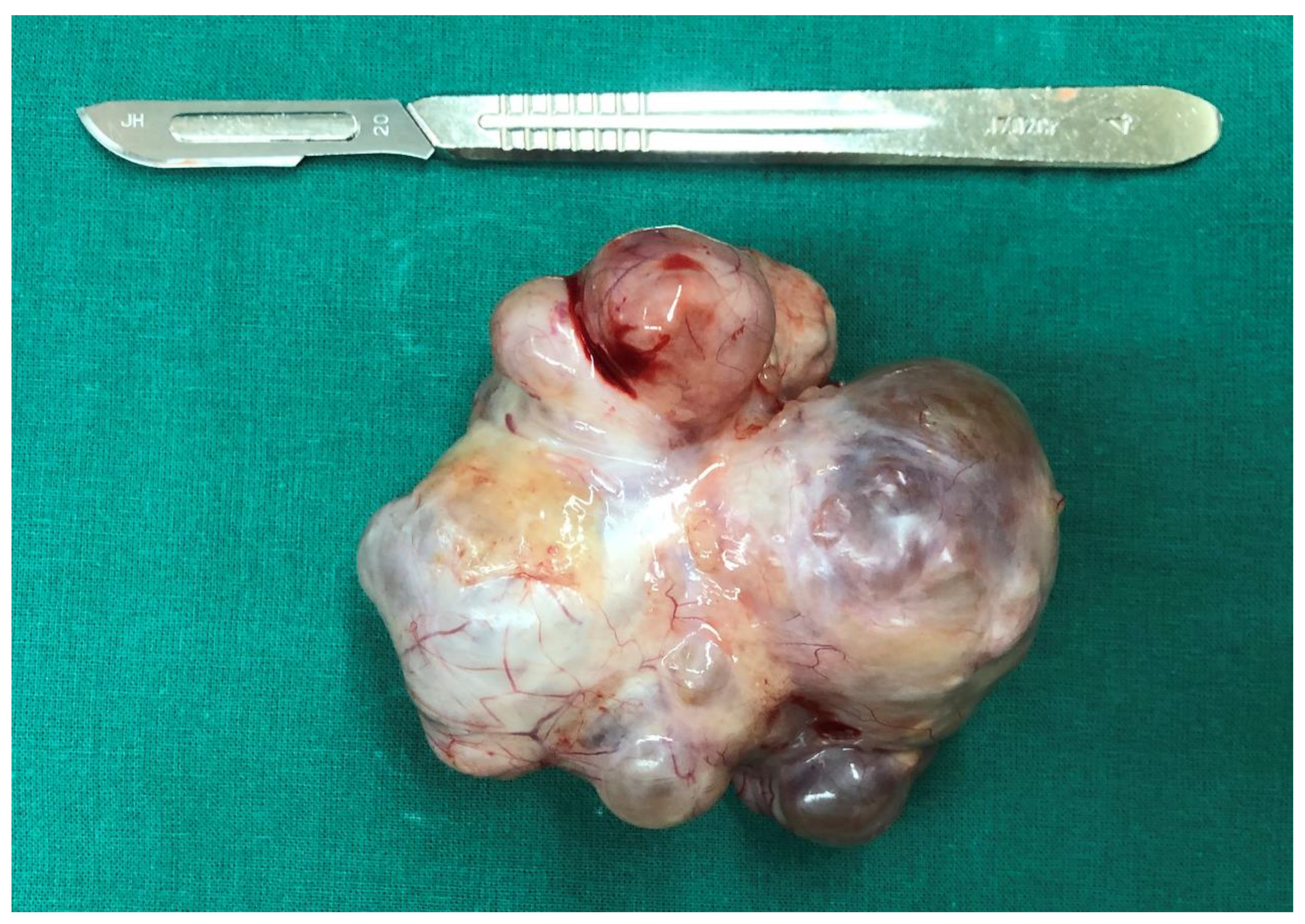 Curroncol 29 00501 g005