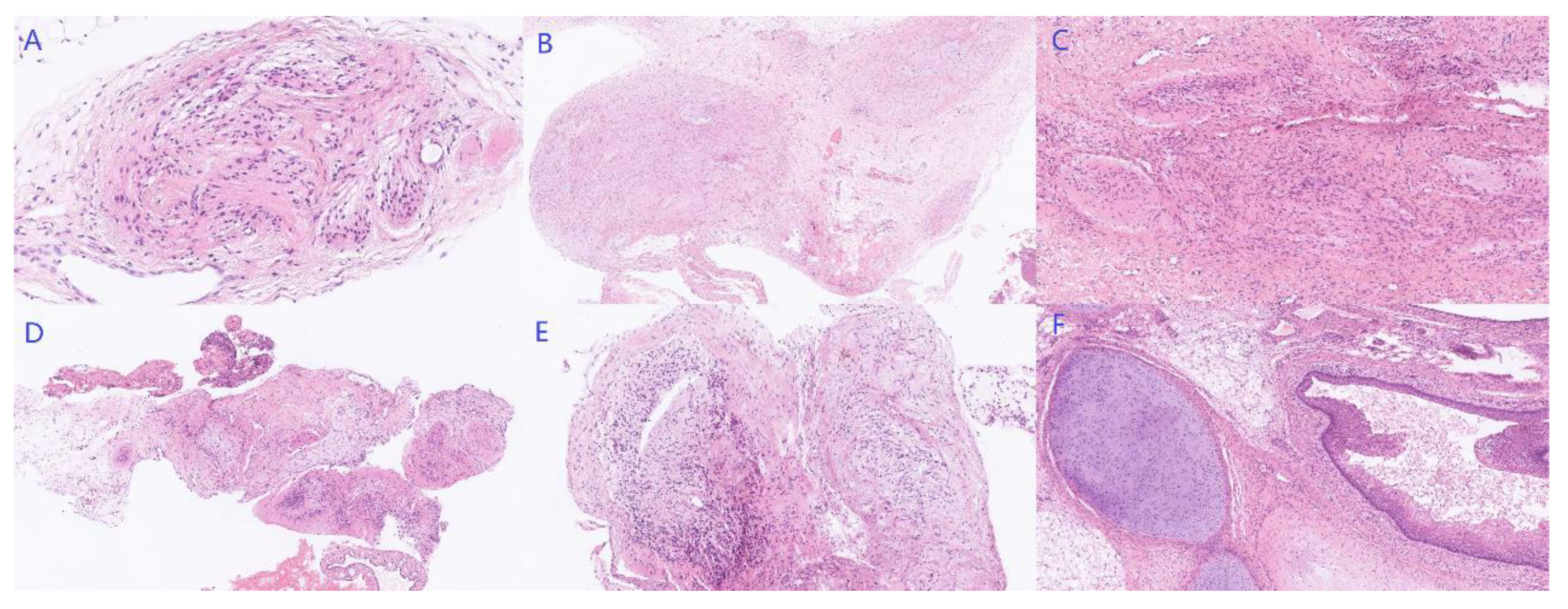 Curroncol 29 00501 g006