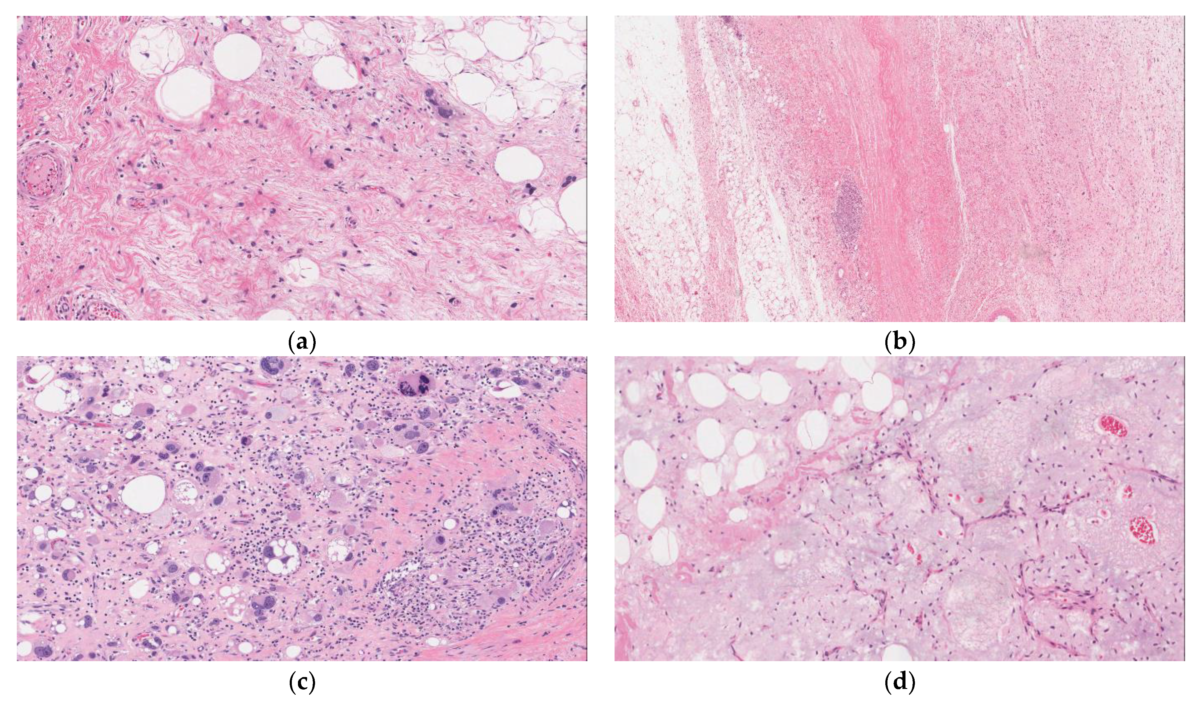 Curroncol 29 00504 g001