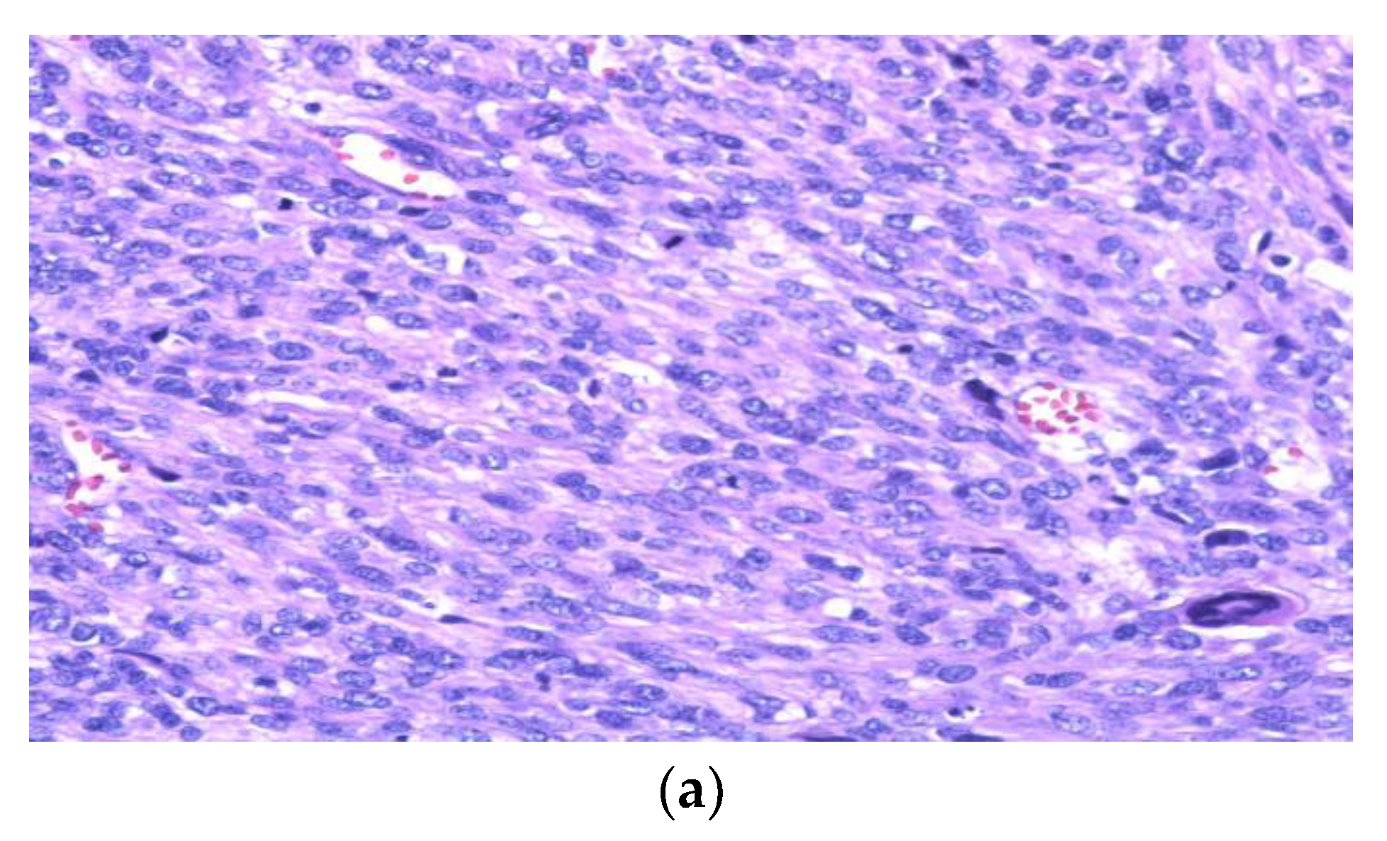 Curroncol 29 00504 g002a