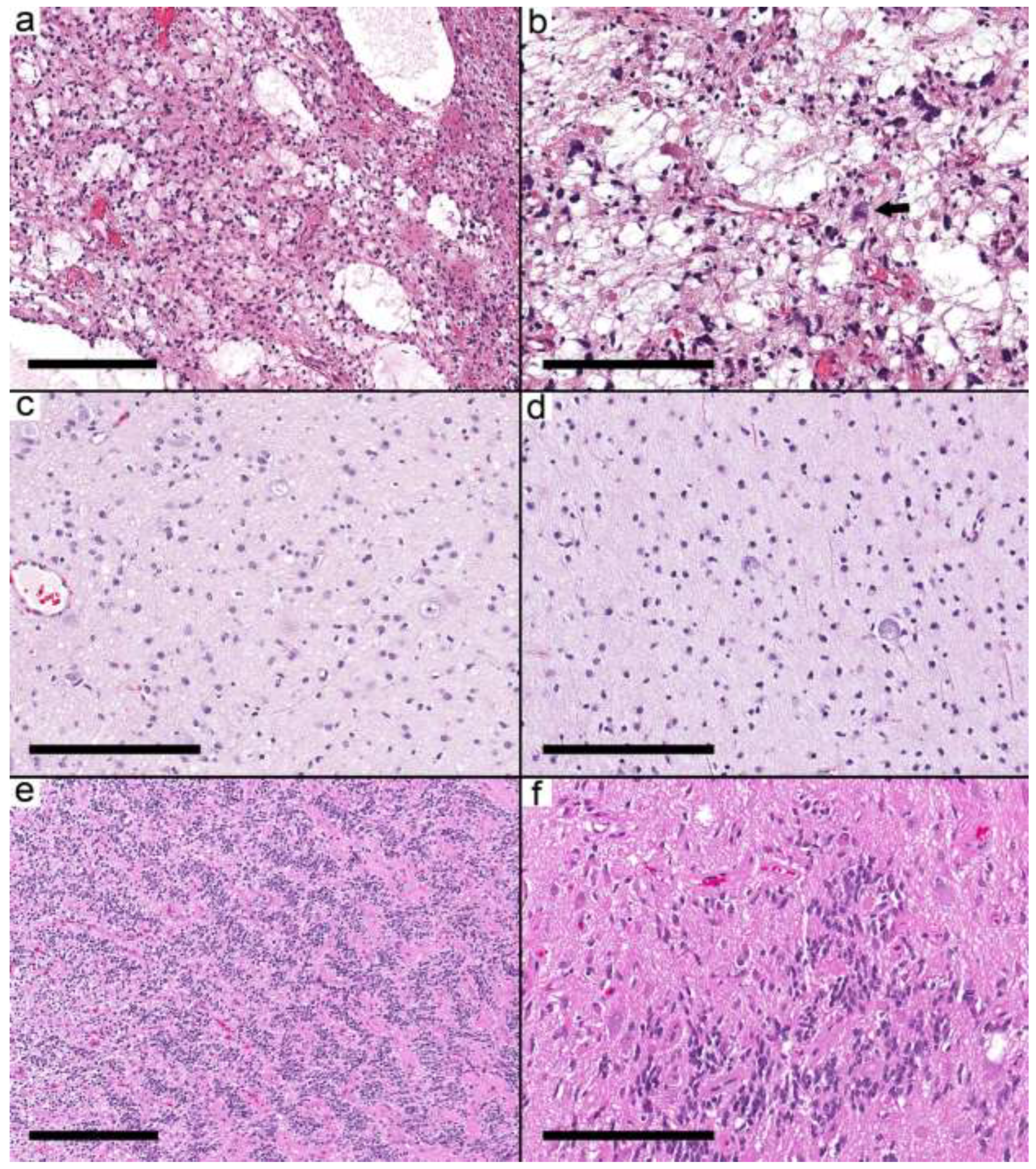 Curroncol 29 00532 g001