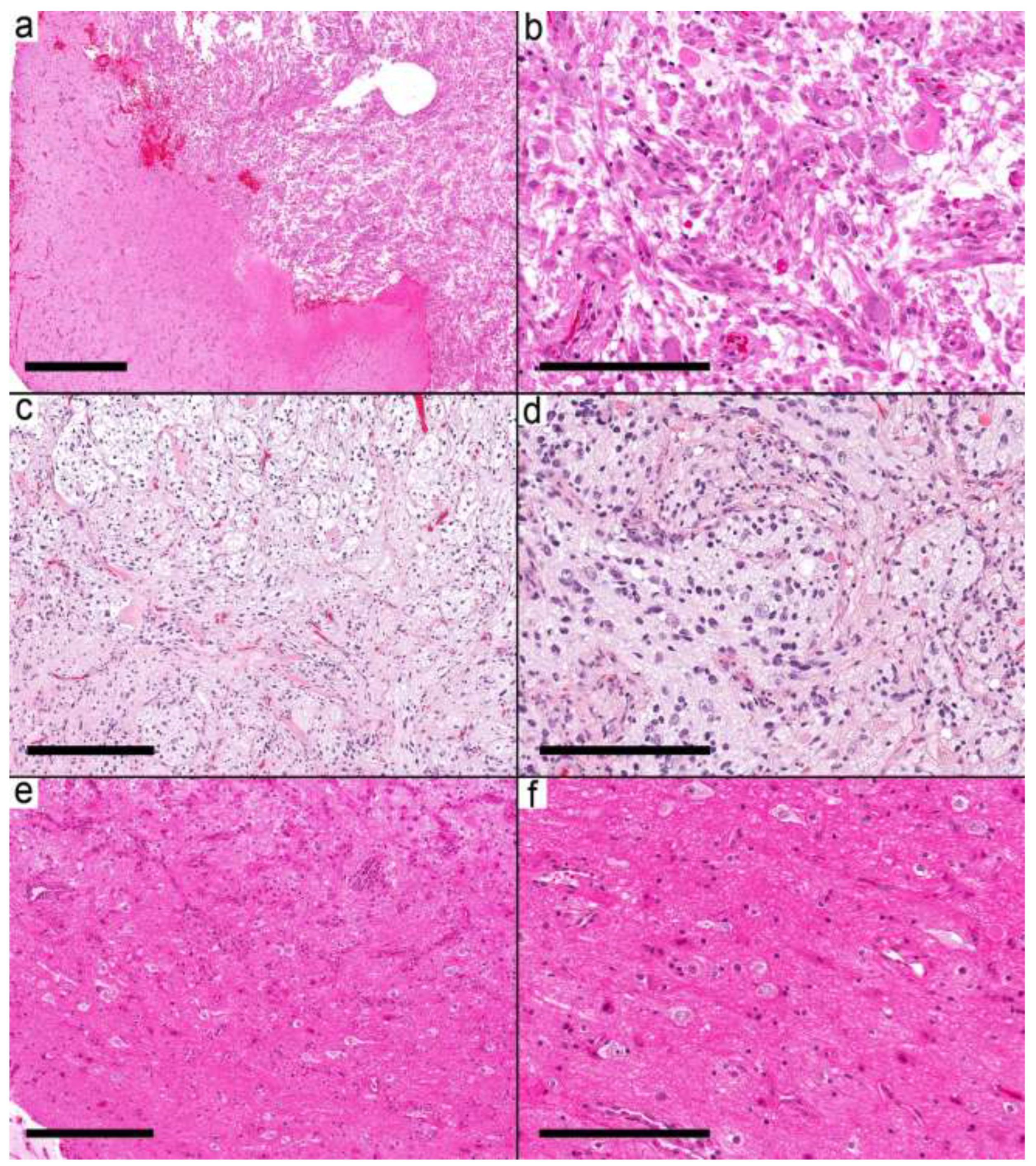 Curroncol 29 00532 g003