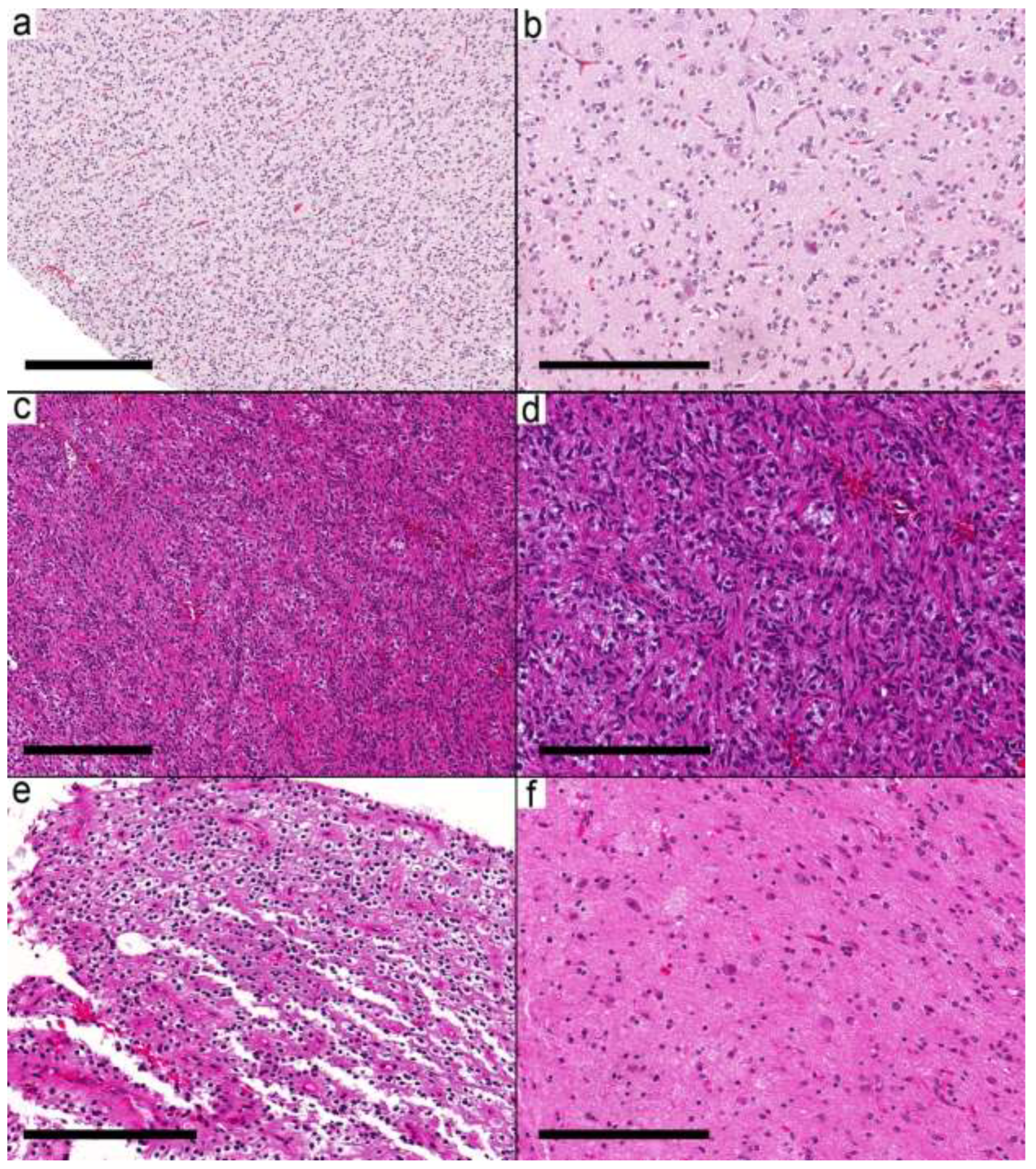 Curroncol 29 00532 g005