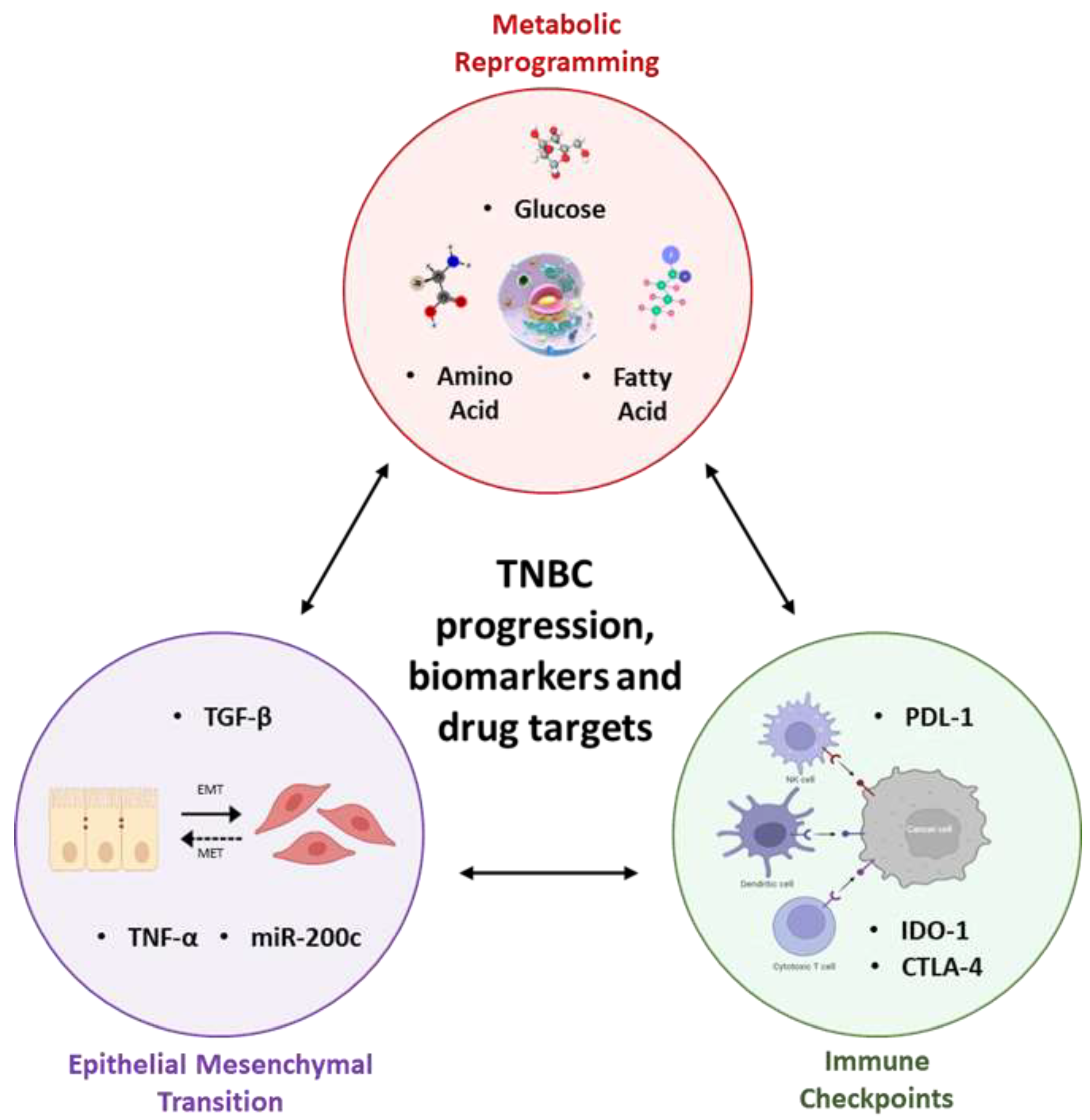 Curroncol 29 00540 g001 Curroncol 29 00540 g001