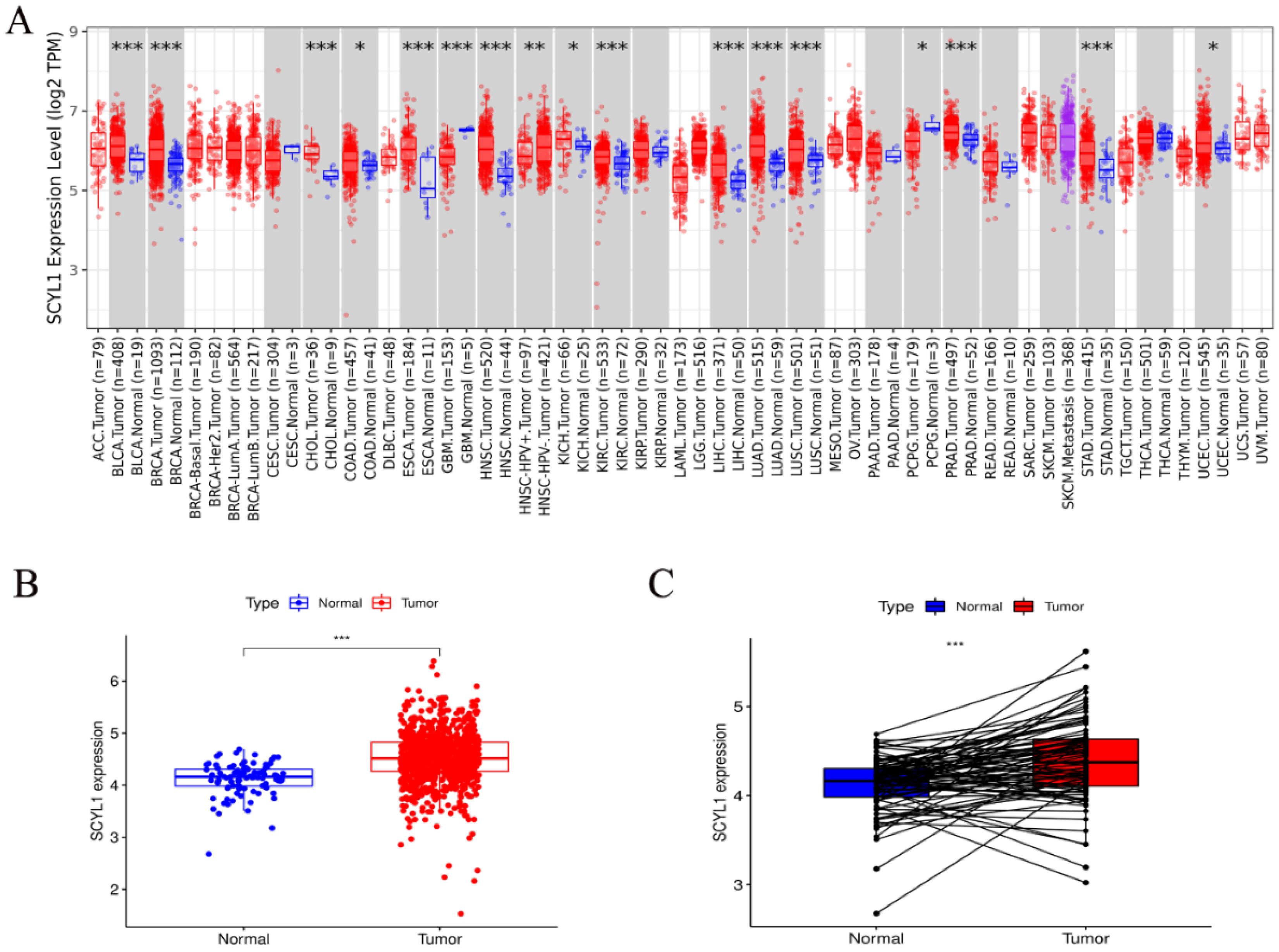 Curroncol 29 00544 g001