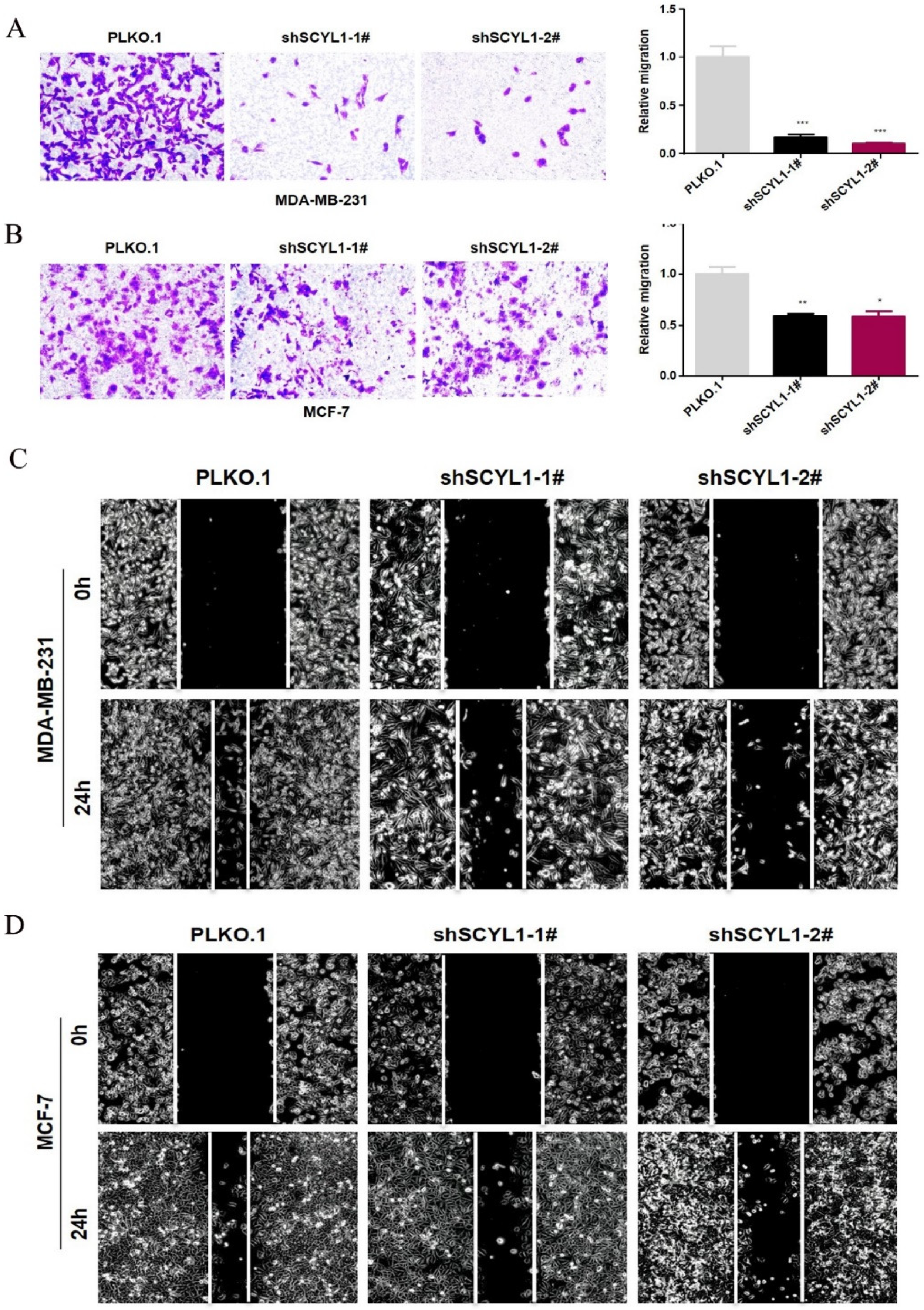 Curroncol 29 00544 g005