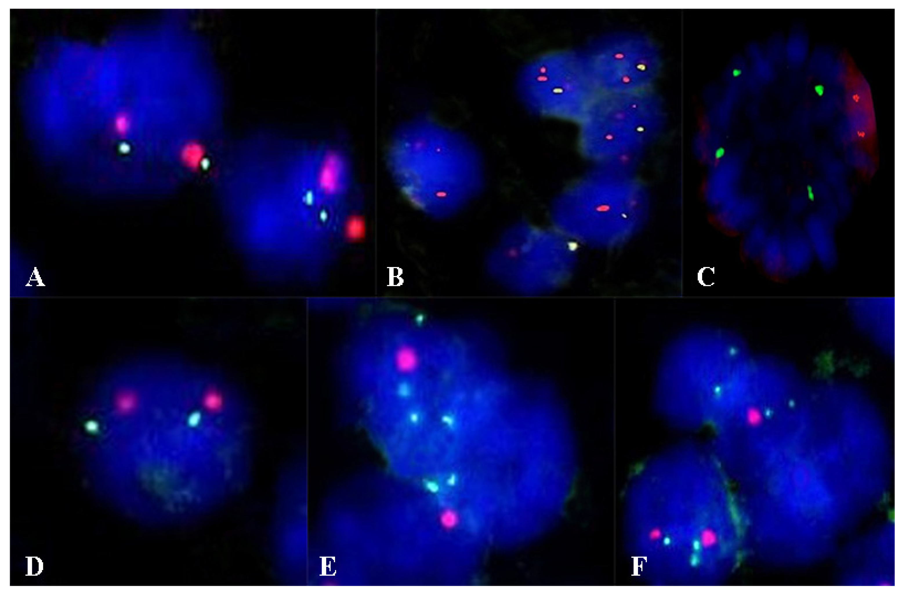 Curroncol 29 00576 g001 Curroncol 29 00576 g001
