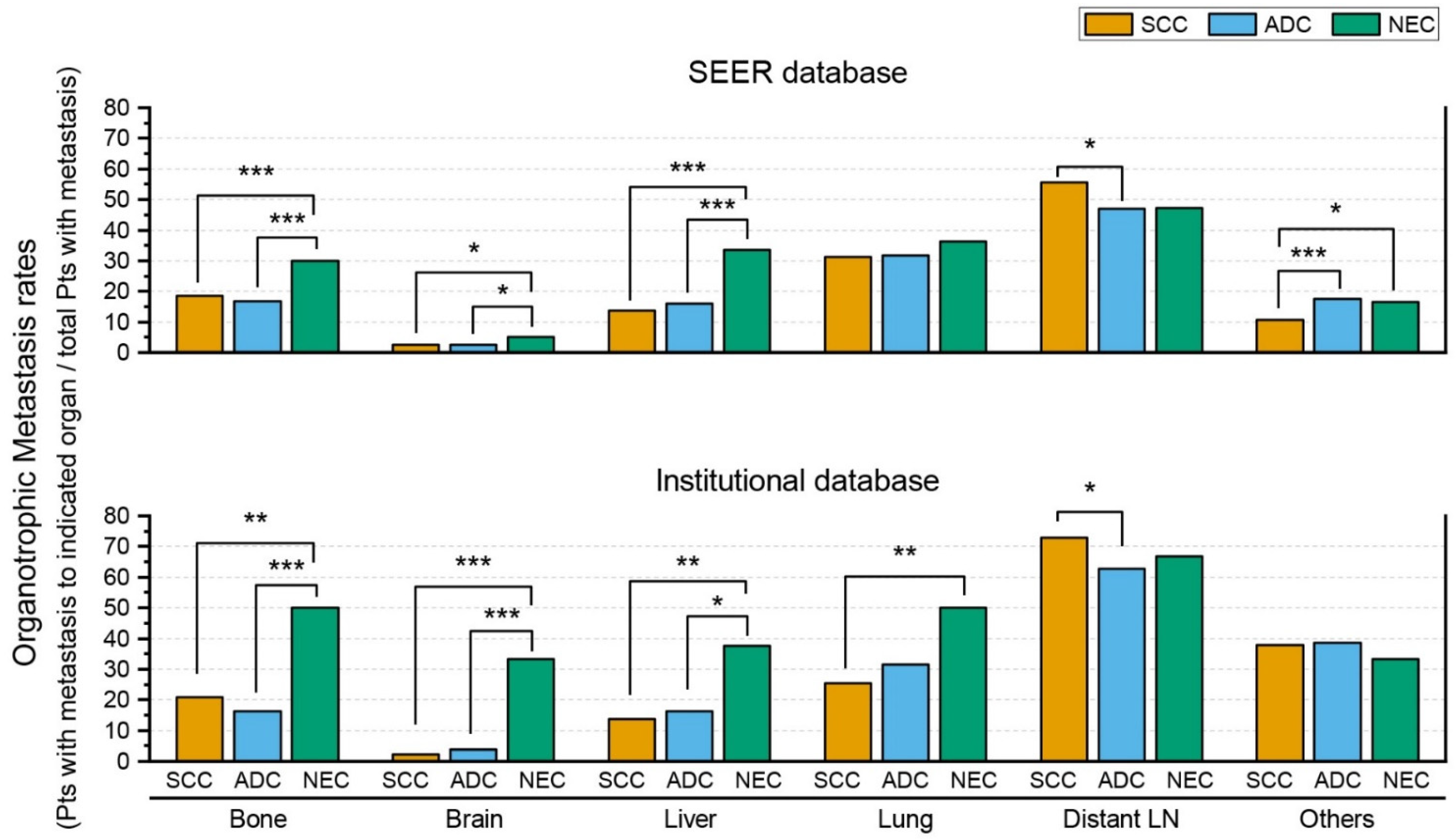 Curroncol 29 00587 g002