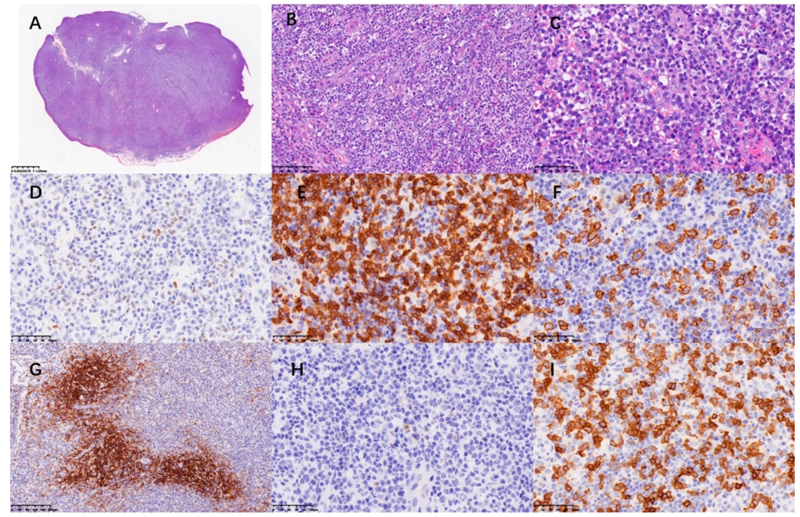 Curroncol 29 00603 g004 Curroncol 29 00603 g004