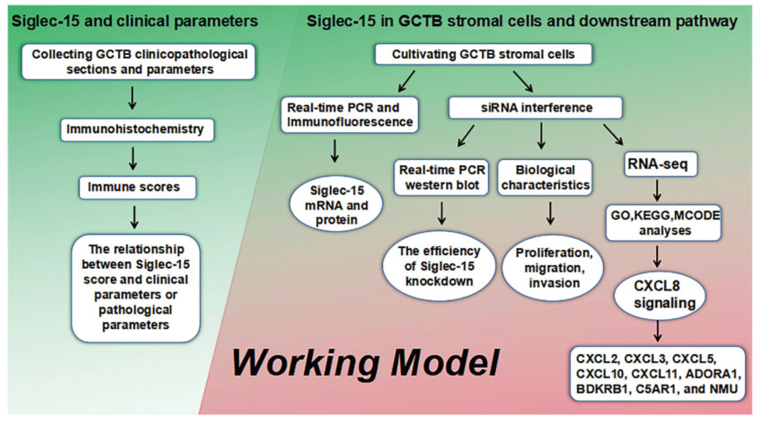 Curroncol 29 00605 g001
