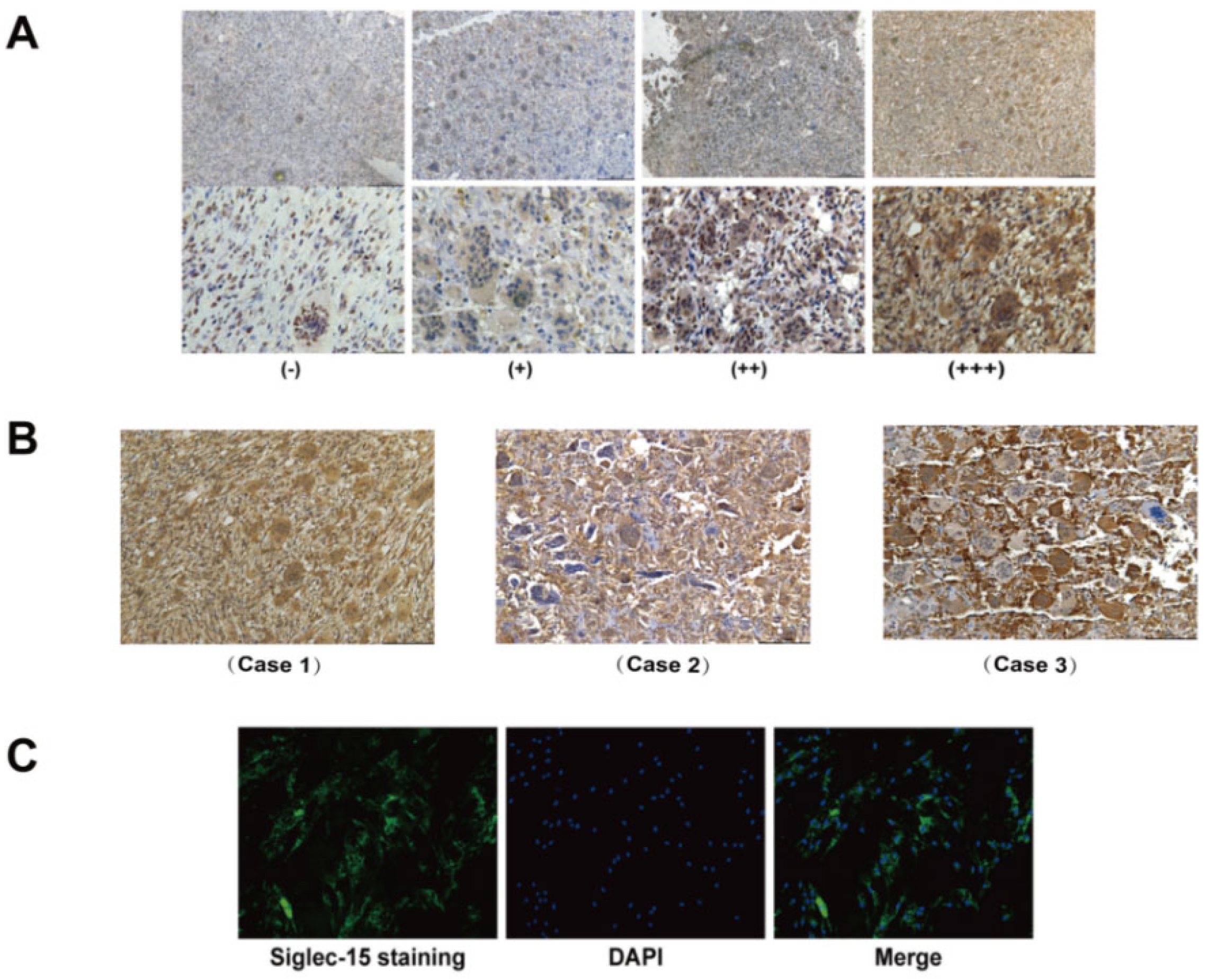 Curroncol 29 00605 g002