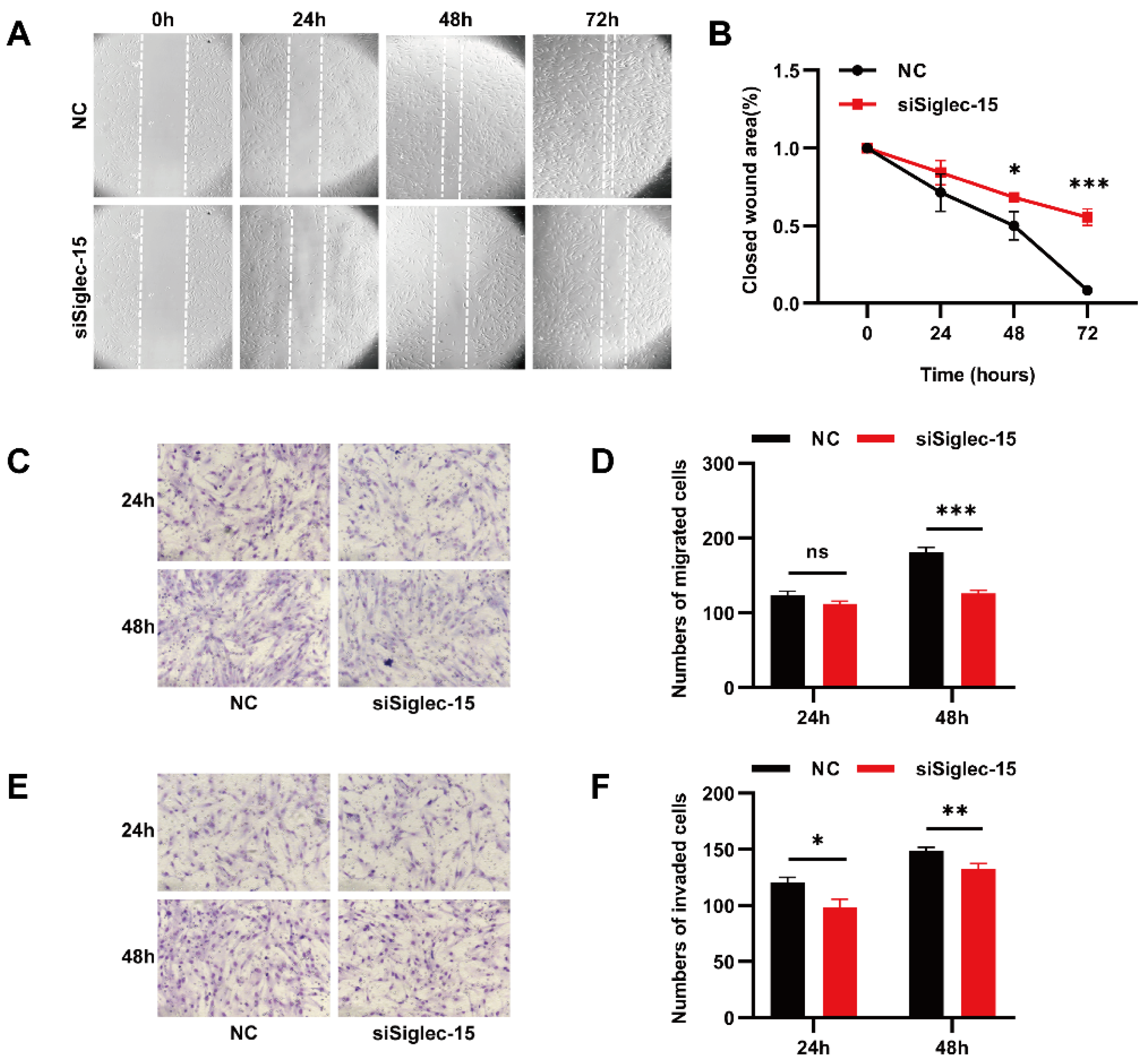 Curroncol 29 00605 g005