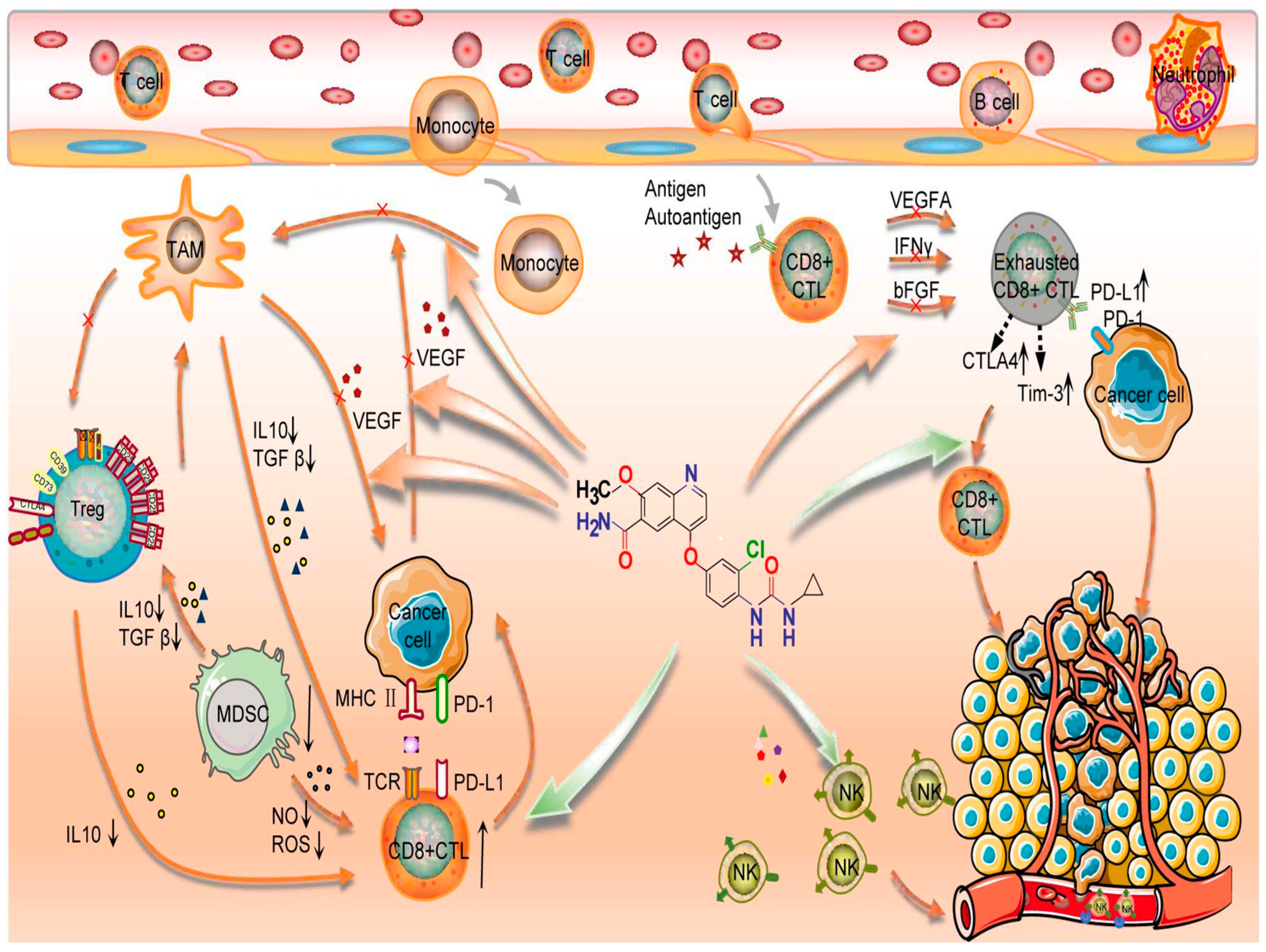 Curroncol 29 00610 g001 Curroncol 29 00610 g001