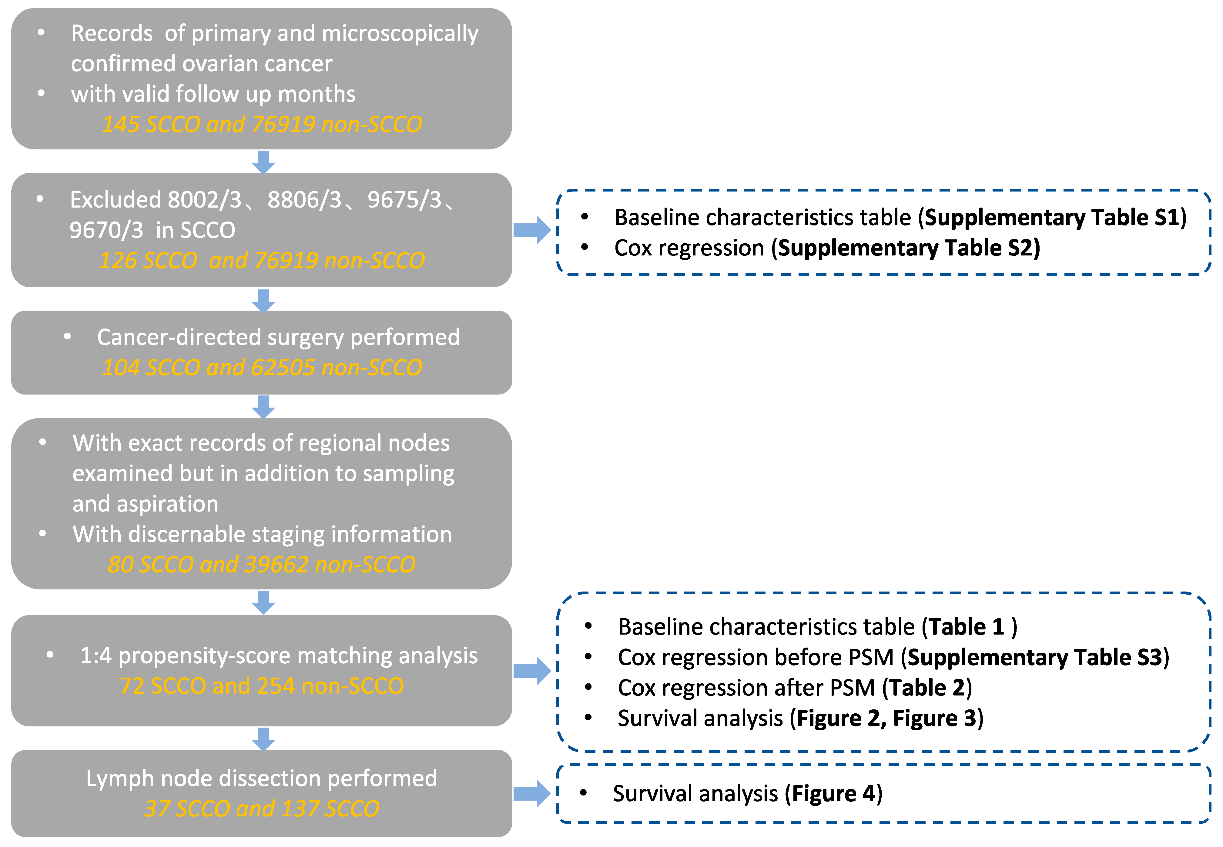 Curroncol 29 00617 g001
