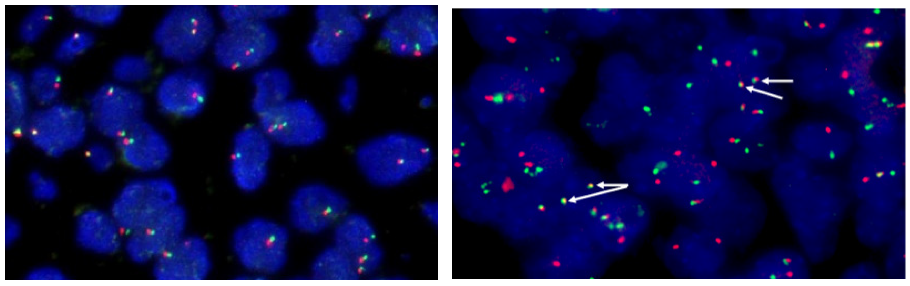 Curroncol 29 00618 g003 Curroncol 29 00618 g003